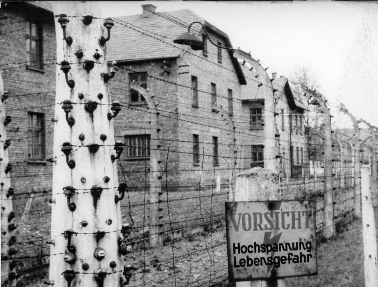 Auschwitz was liberated 80 years ago. The spotlight is on survivors as ...