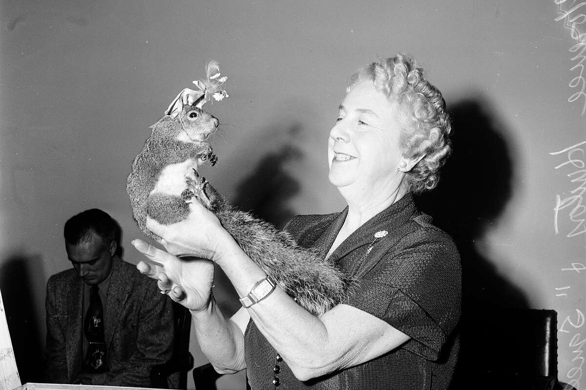 Mrs Florence Hinton holds Squeegie dressed up in hat and holding umbrella. May 15, 1954.