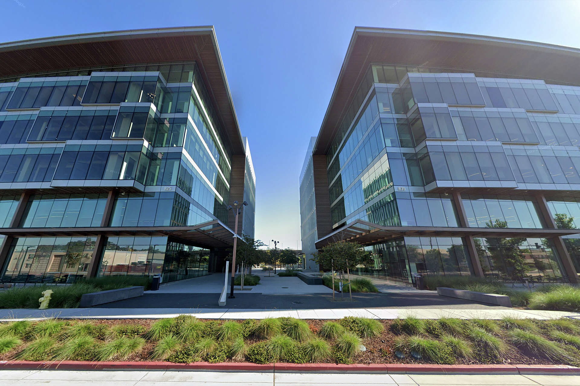 Bay Area biotech firm guts staff, shuts trial after bad side effects