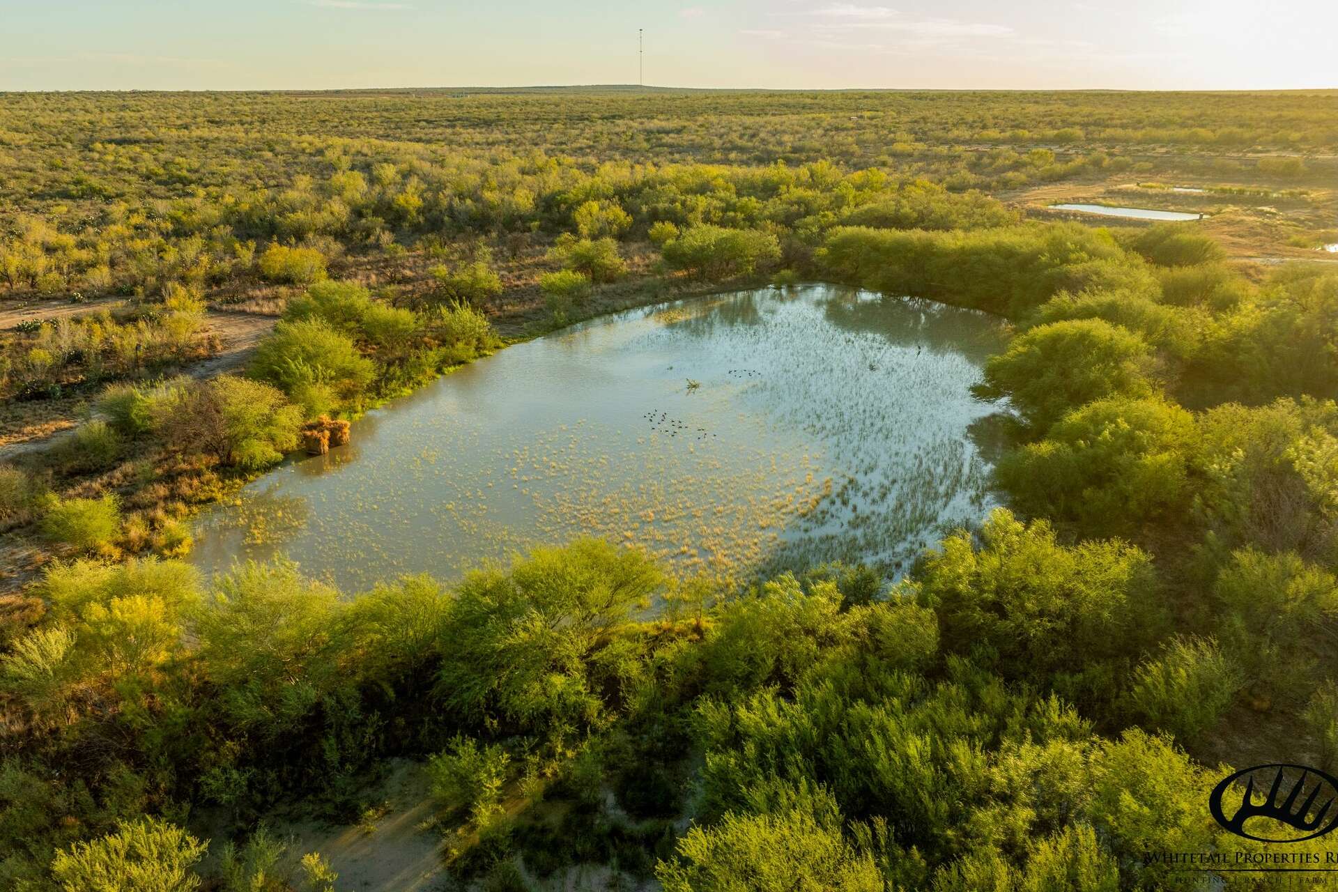 Renowned hunter lists historic Texas ranch for more than $20M