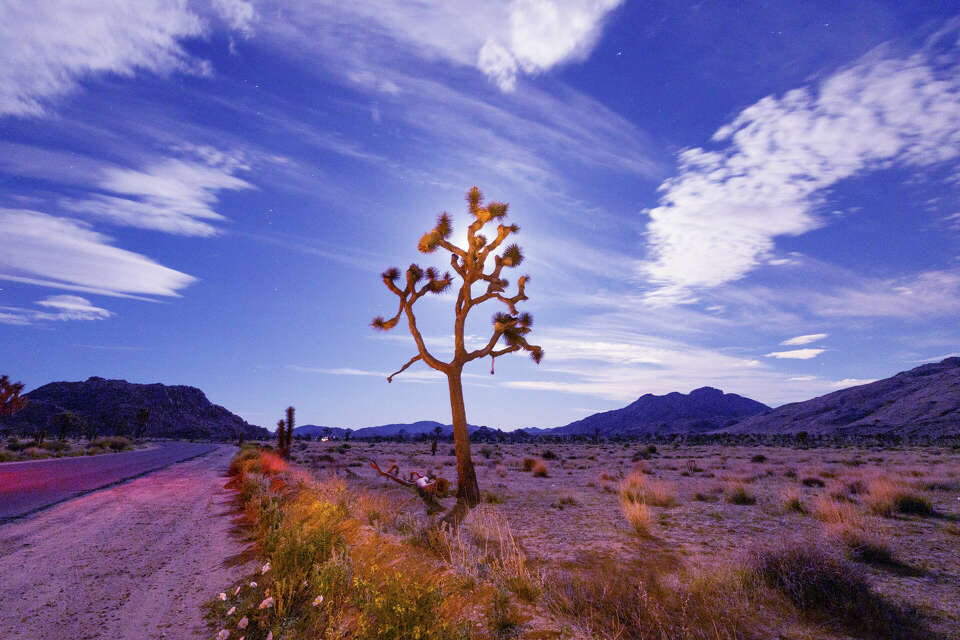 Twentynine Palms