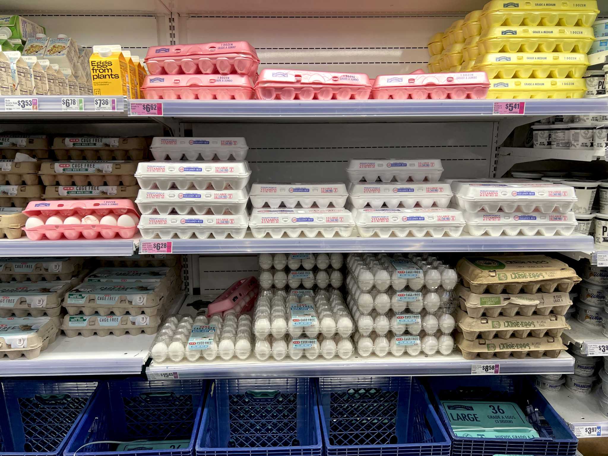 Bird flu virus threatens Texas egg prices, poultry industry