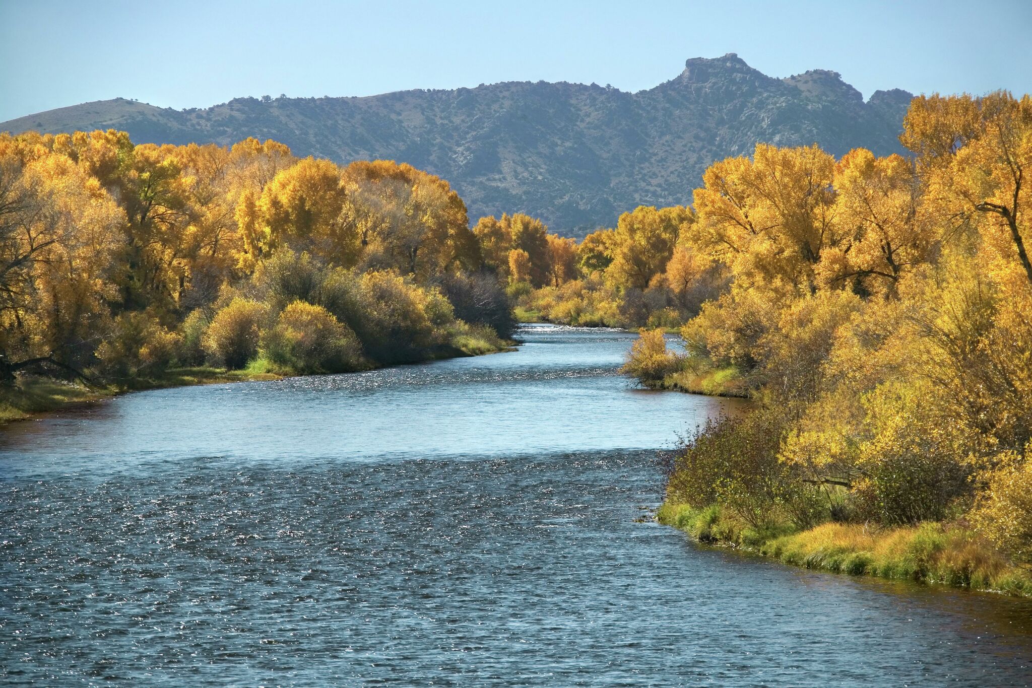 3 California visitors fined thousands after illegal Wyoming fishing trip