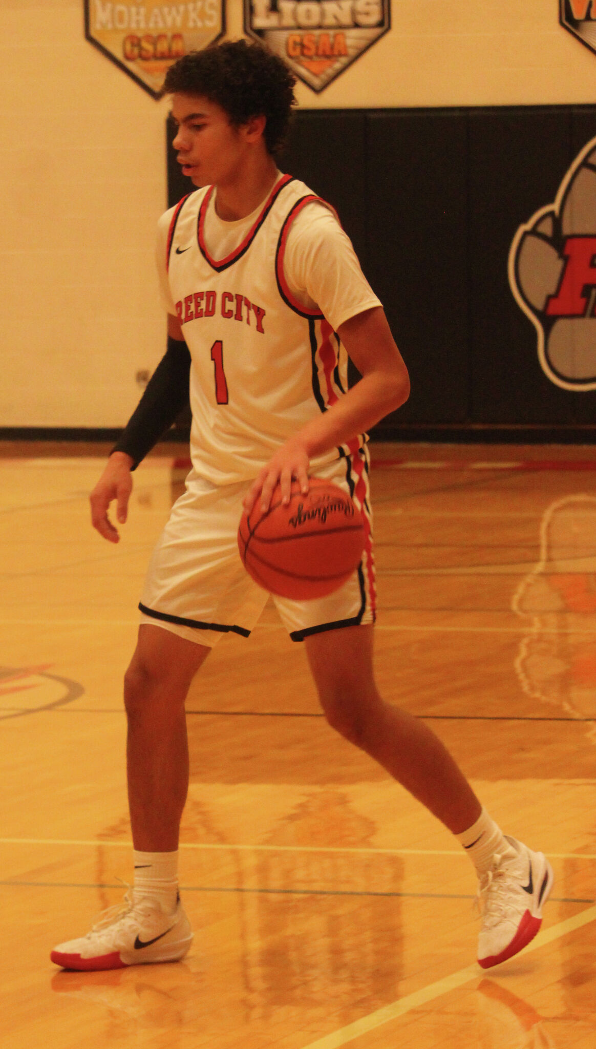 Reed City senior has enjoyed action-packed season