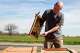 Beekeeper Marcus Hill handles a successful beehive in an almond orchard near Desert Creek Bulk Bees.
