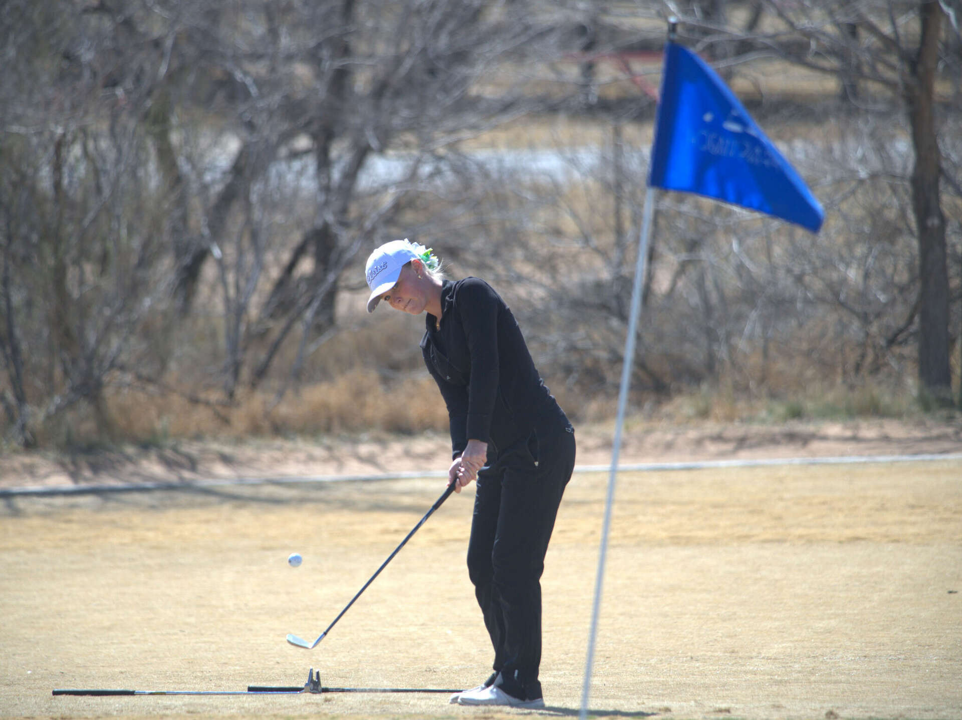 Andrews girls win regional golf title, lead area results