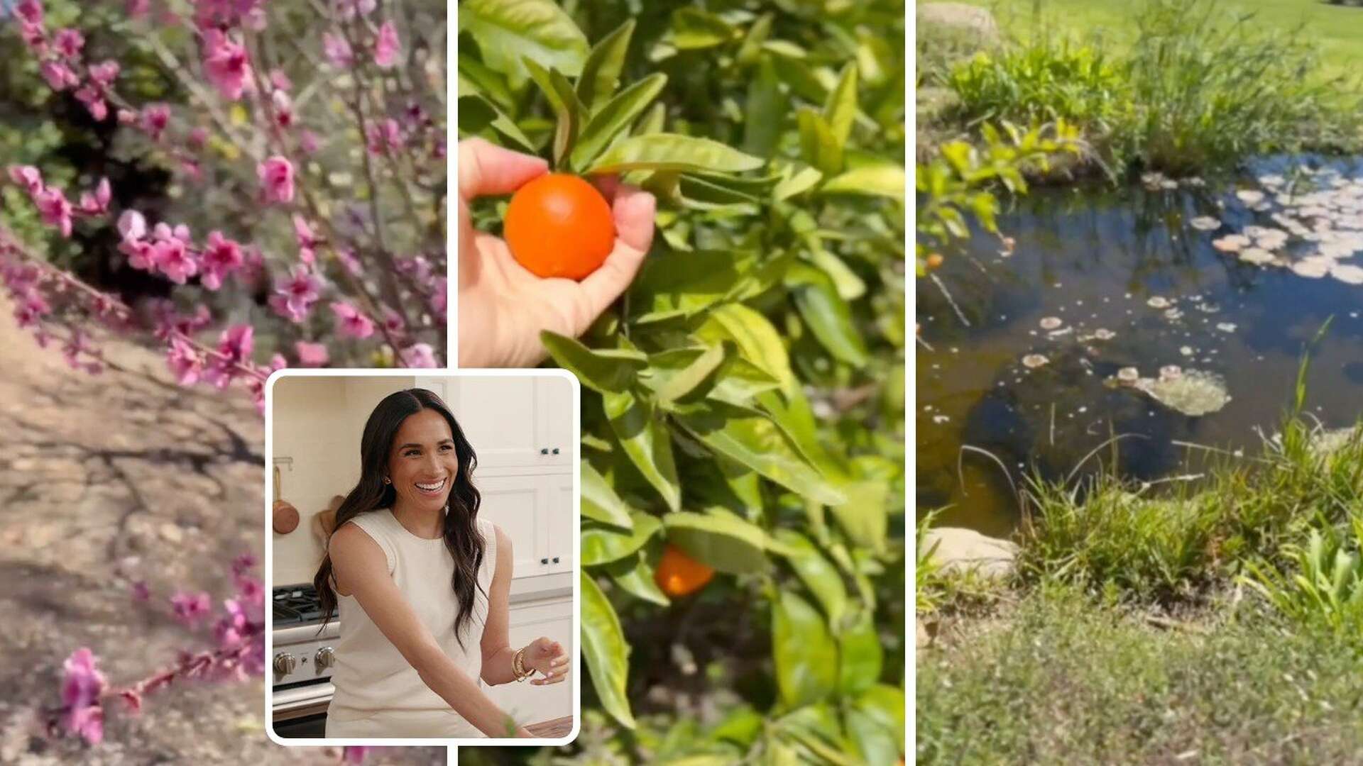 Meghan Markle Shares a Rare Glimpse Inside Her Picturesque Backyard at