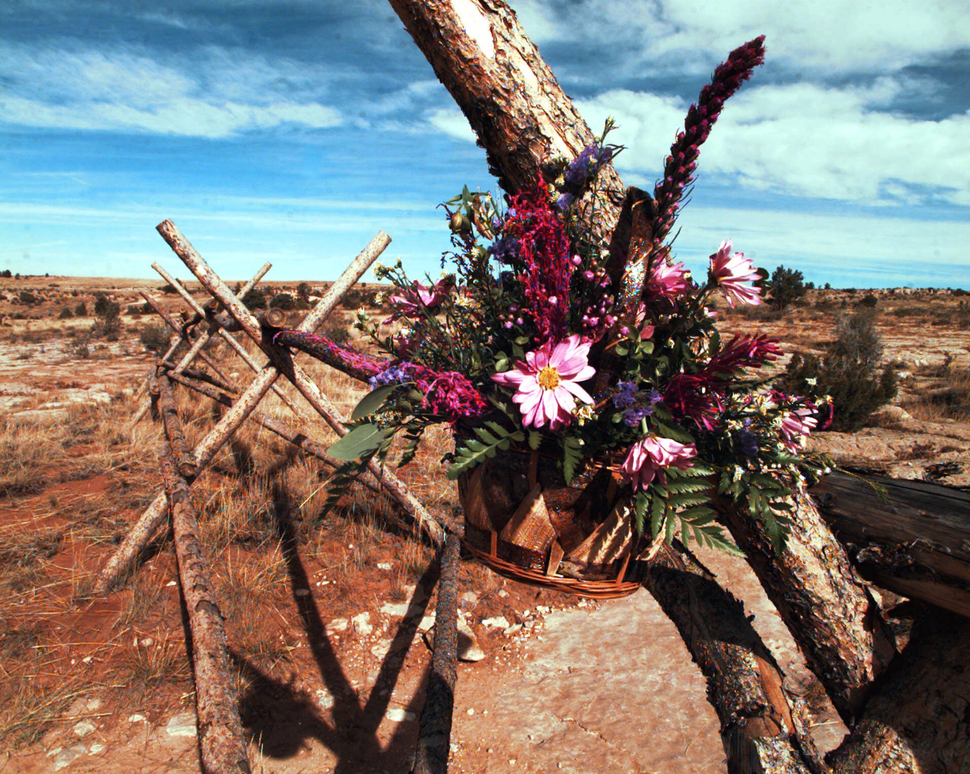 Albany Pro Musica concert connects Matthew Shepard to today