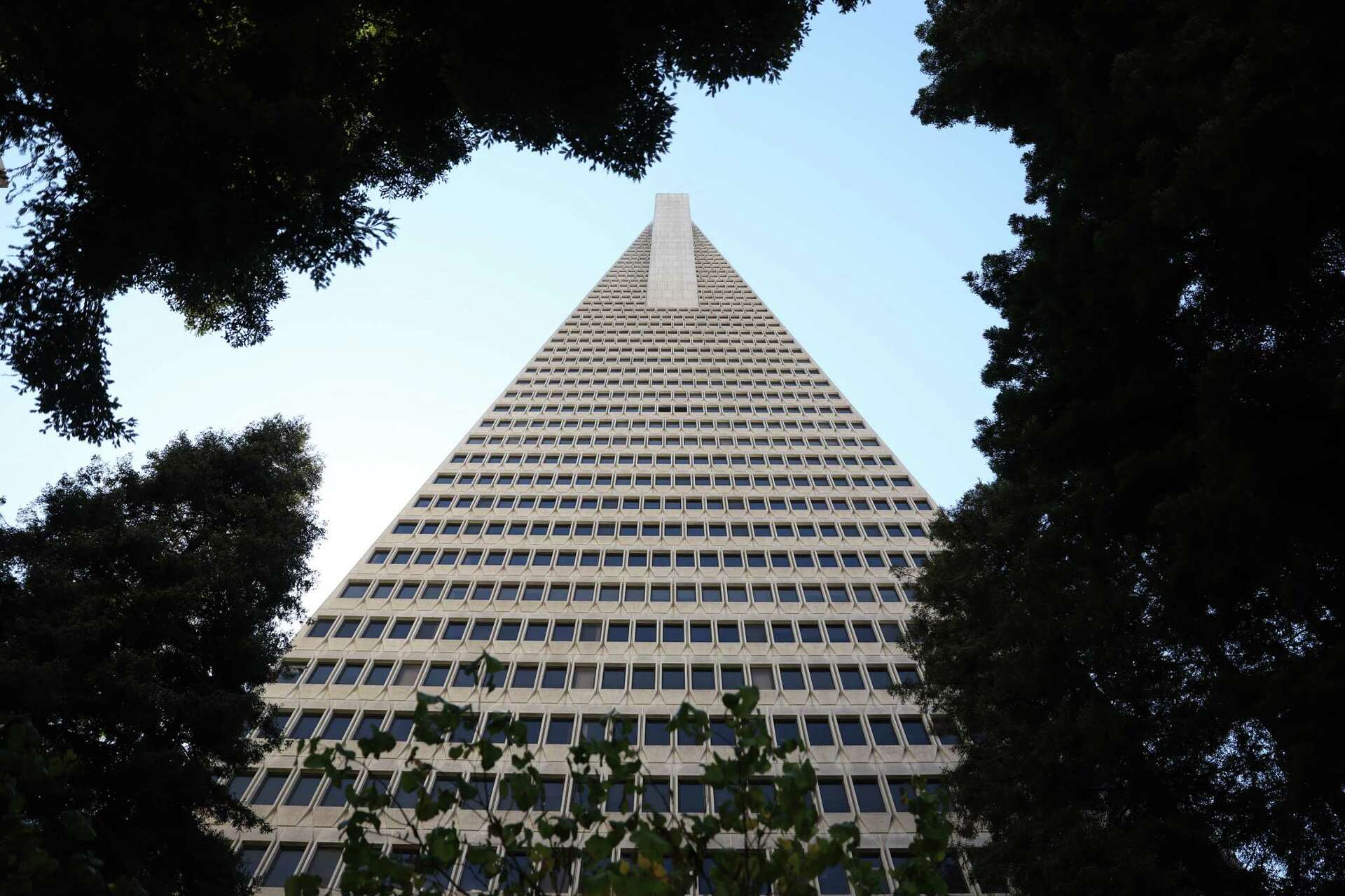 S.F. crypto firm Paradigm eyeing office space in Transamerica Pyramid