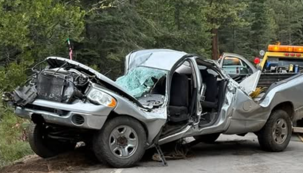 Truck plunges 30 feet off highway, trapping driver and dog for 22 hours