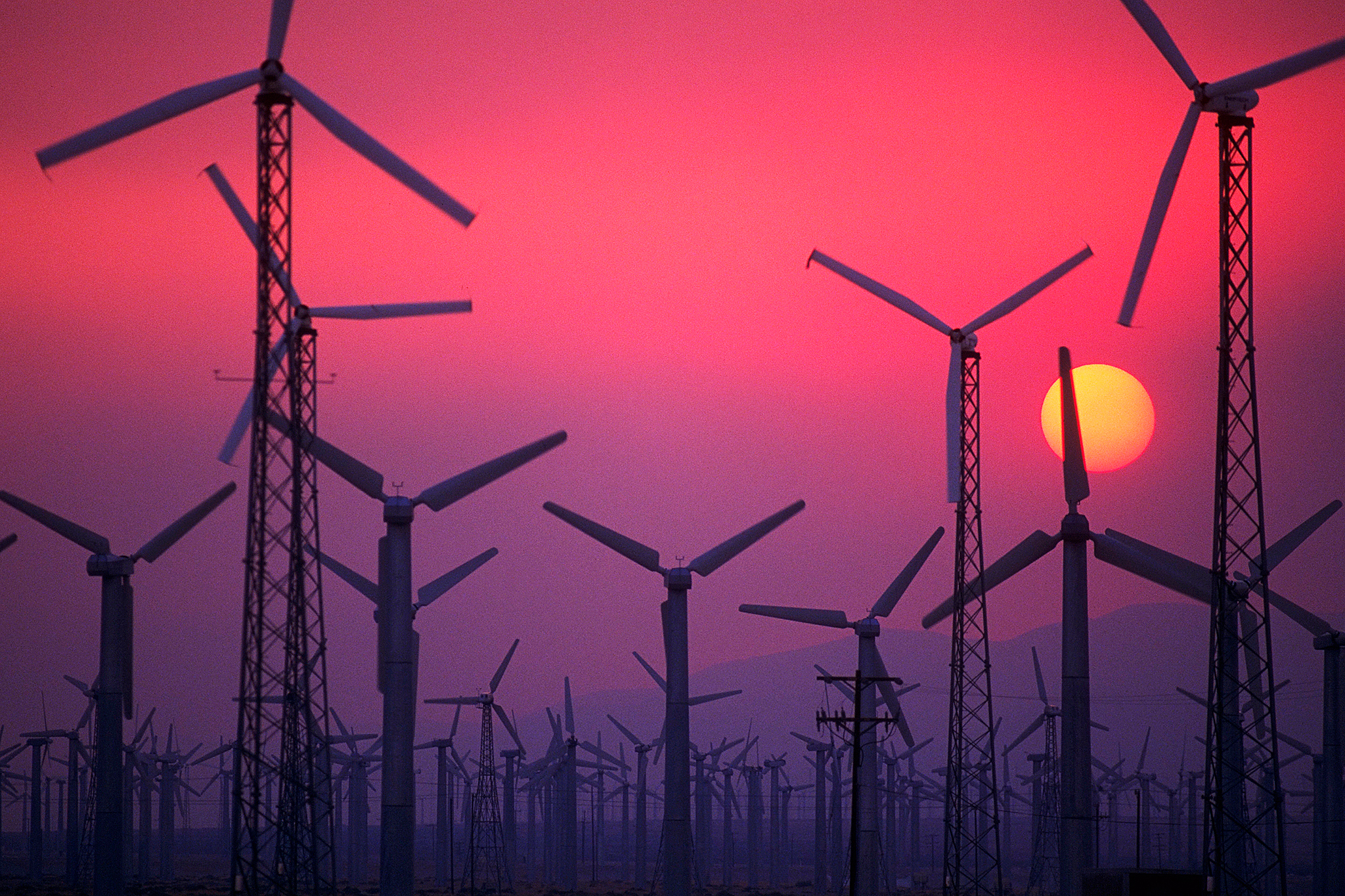 Only 650 of Palm Springs' windmills remain. Could more be