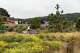 Presidio Tunnel Tops park visitors walk through the park surrounded by blossoming plants in San Francisco, in 2023.