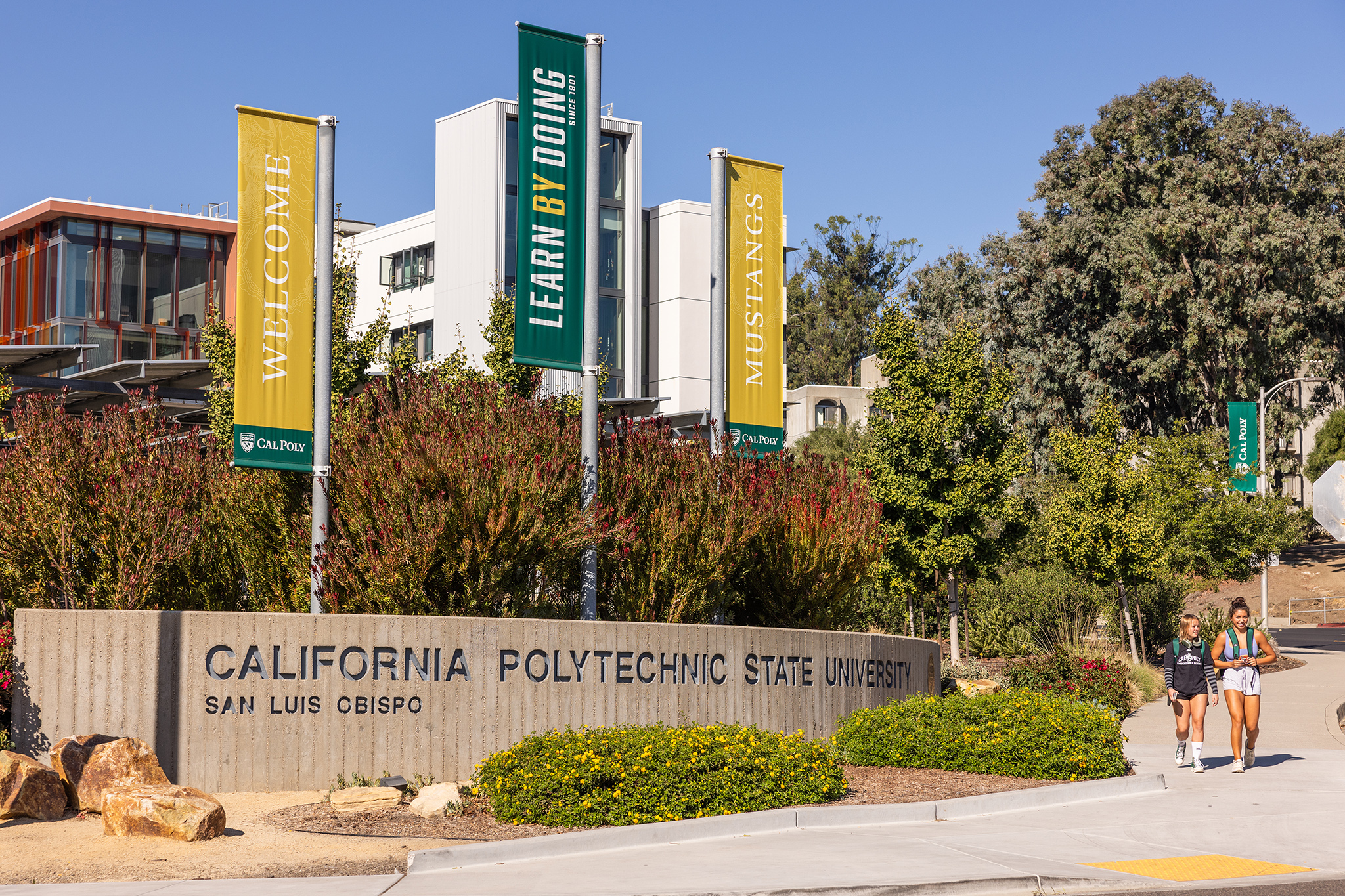 'Almost unlivable': Calif. university parties rage on despite complaints