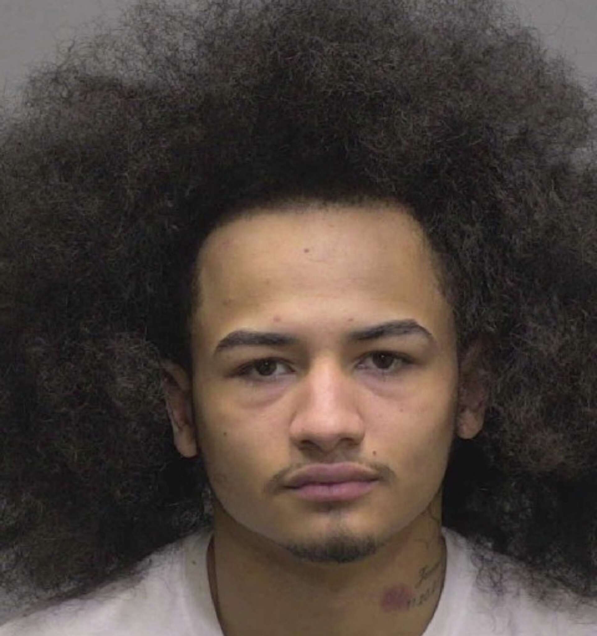 New Haven police make arrests in 2024 fatal crash on Middletown Avenue