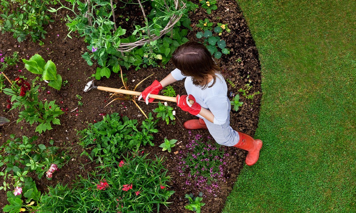 The Best Time To Start Grooming Your Garden and Landscaping Is Fast-Approaching