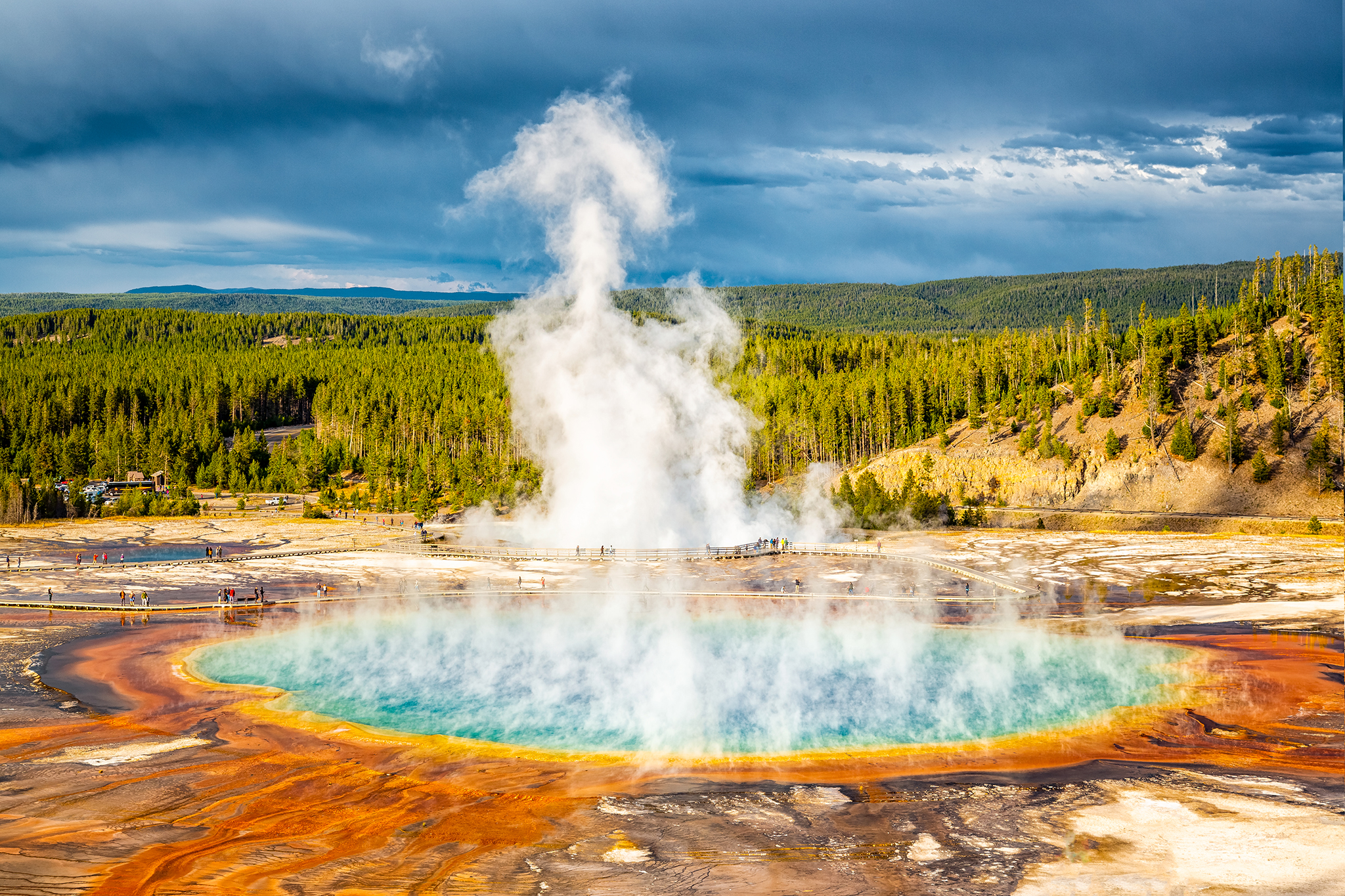 'They shouldn't be there': The creatures of Yellowstone's boiling pools