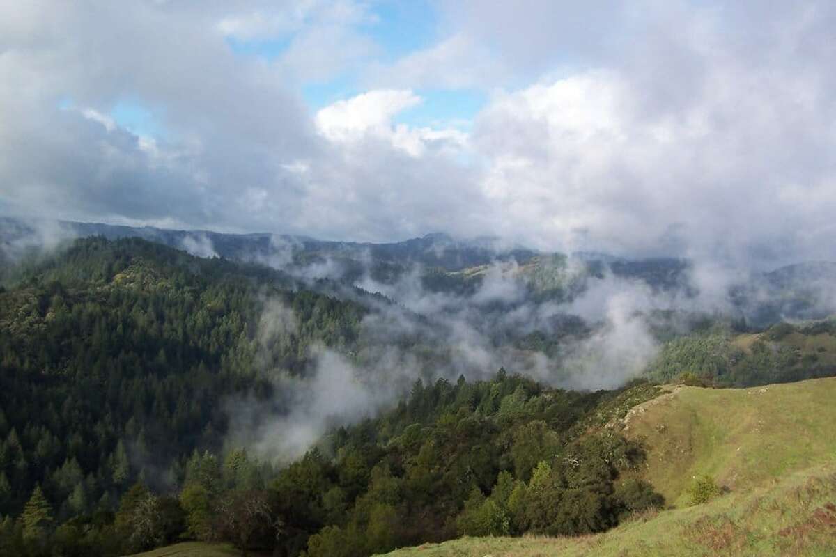 Austin Creek State Recreation Area reopened this week for the first time since the Wallbridge Fire of 2020. 