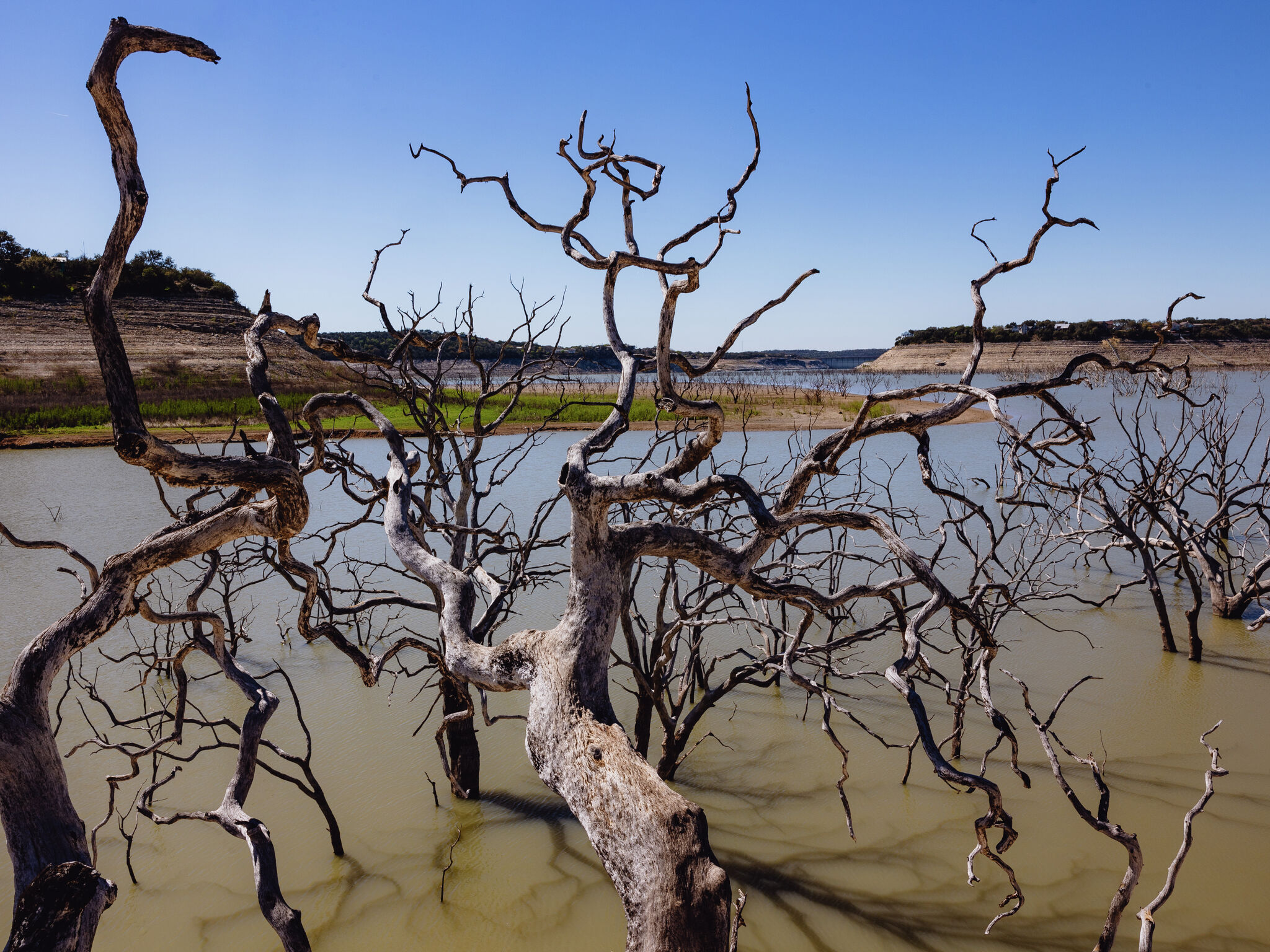 Rainfall brings a little relief to drought-stricken lakes, aquifer