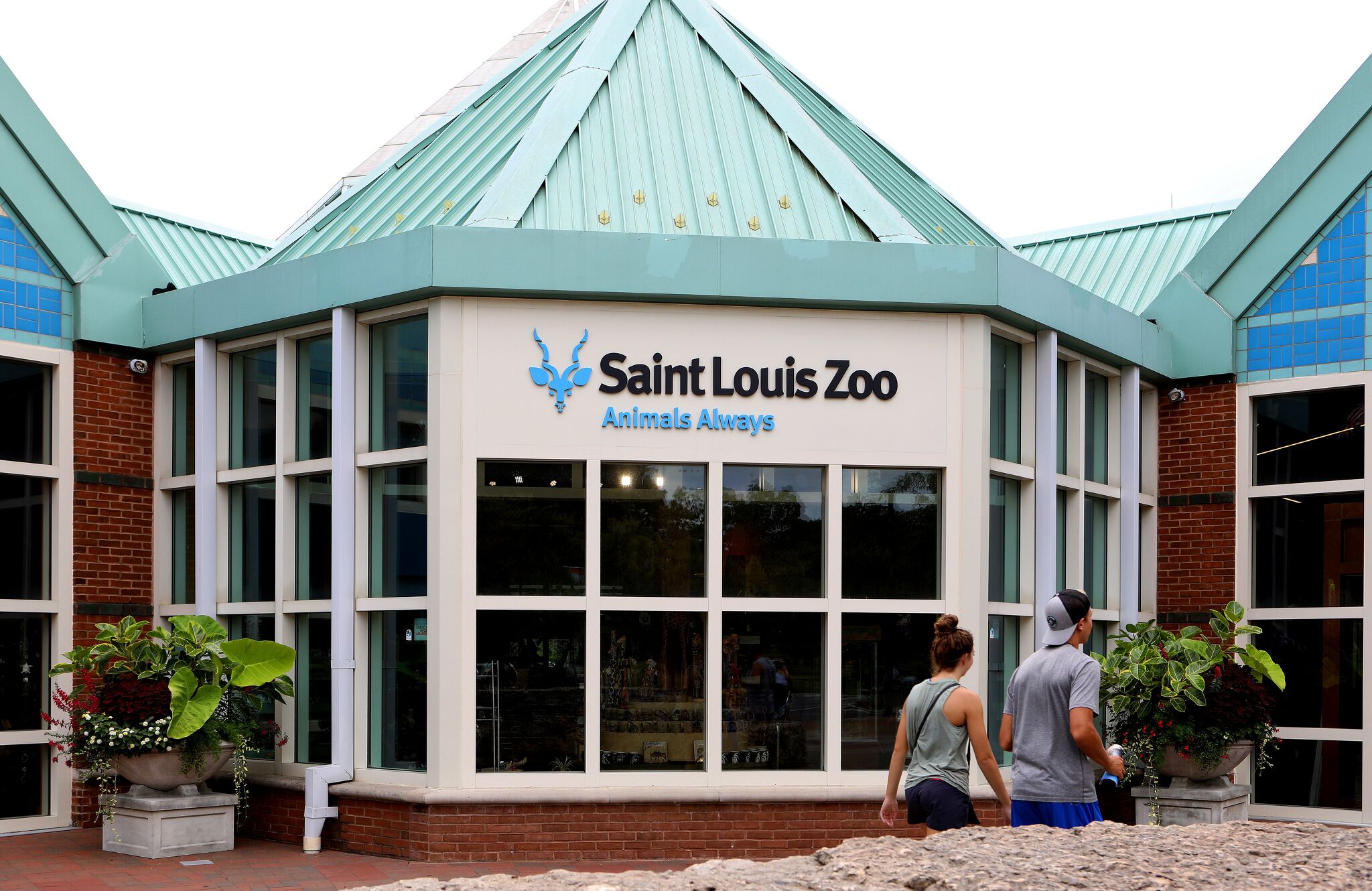 Saint Louis Zoo named top 10 in US; Penguin exhibit also honored