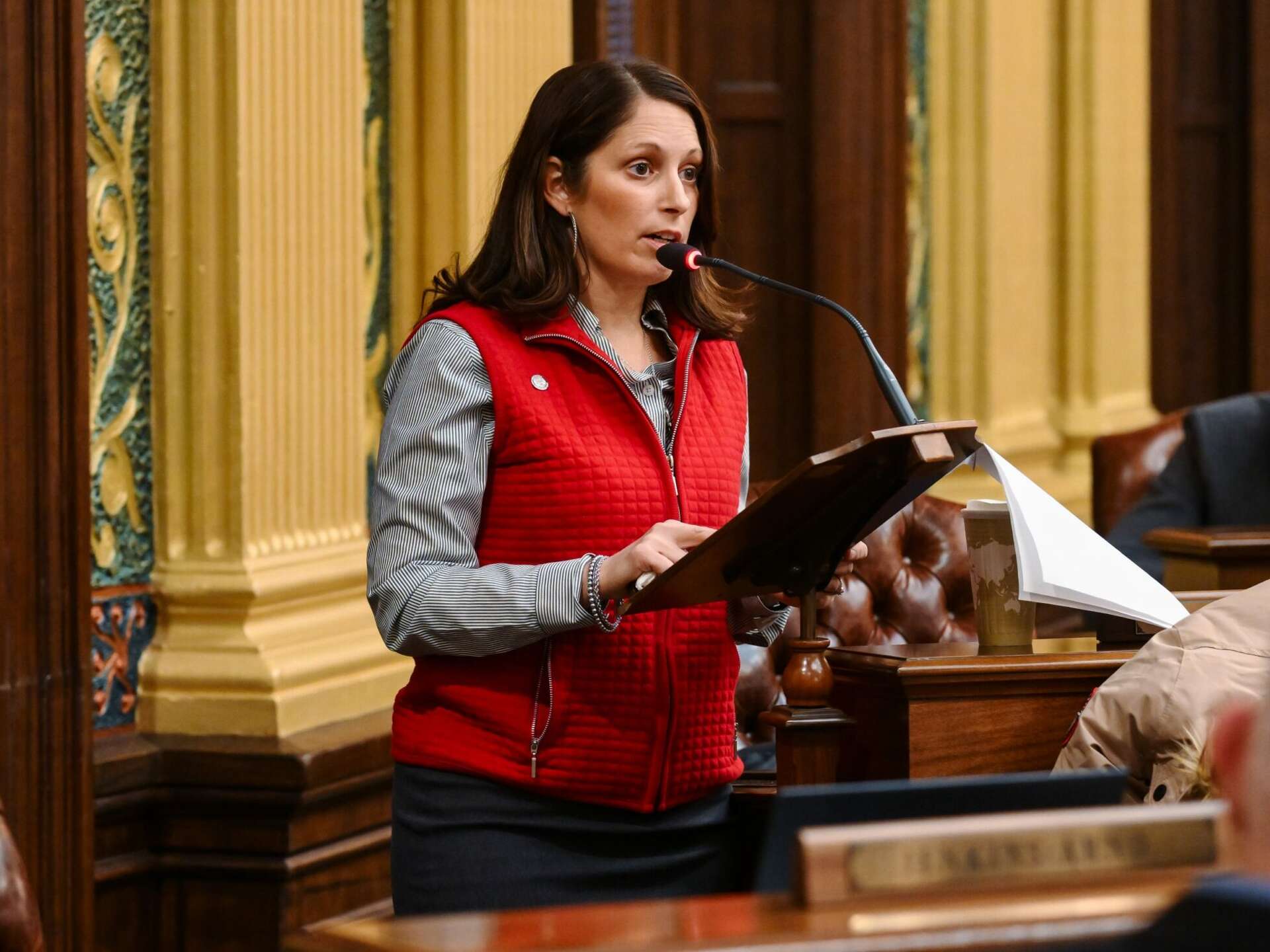 Michigan GOP pushes to repeal renewable energy siting authority law