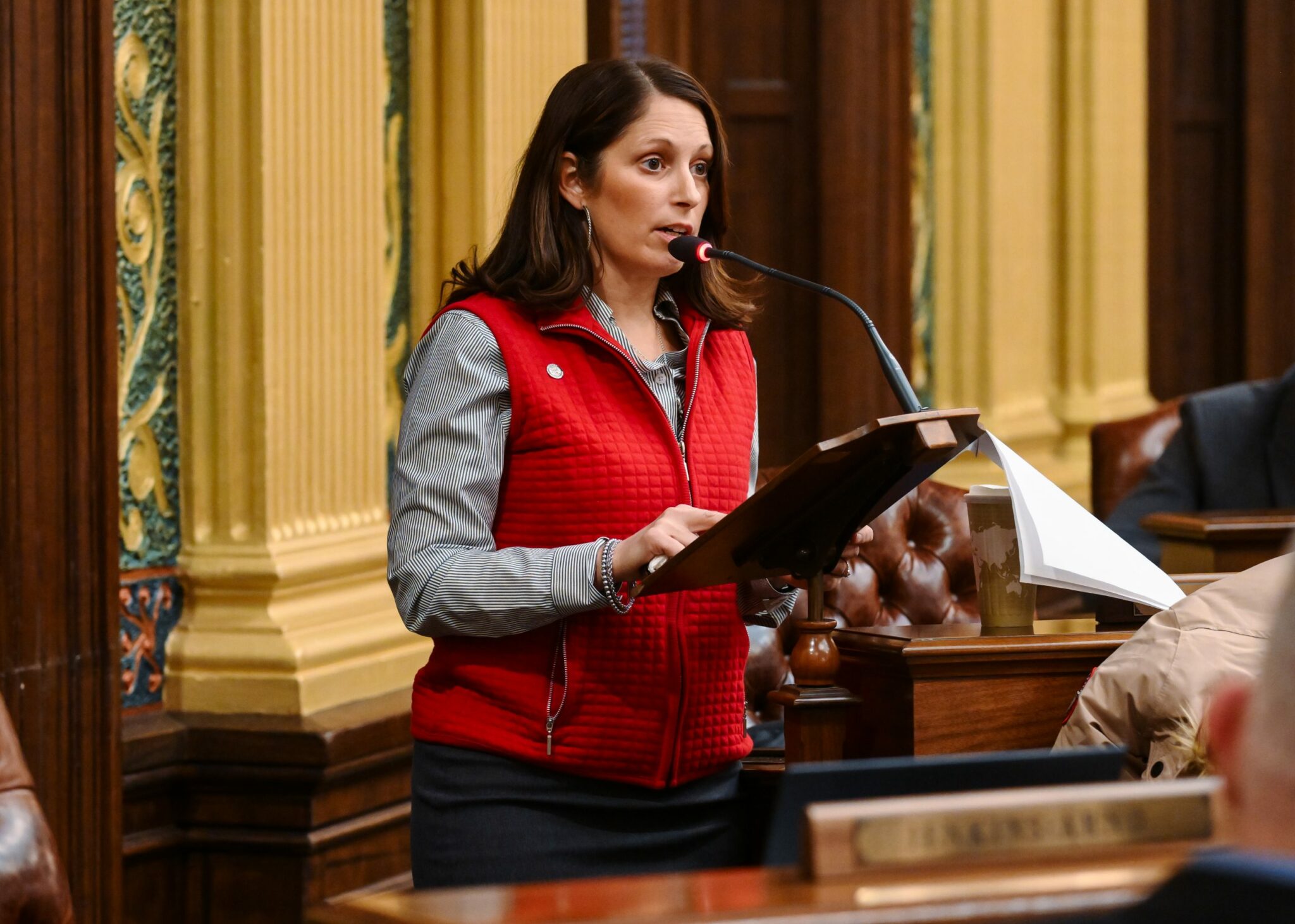 Michigan GOP pushes to repeal renewable energy siting authority law