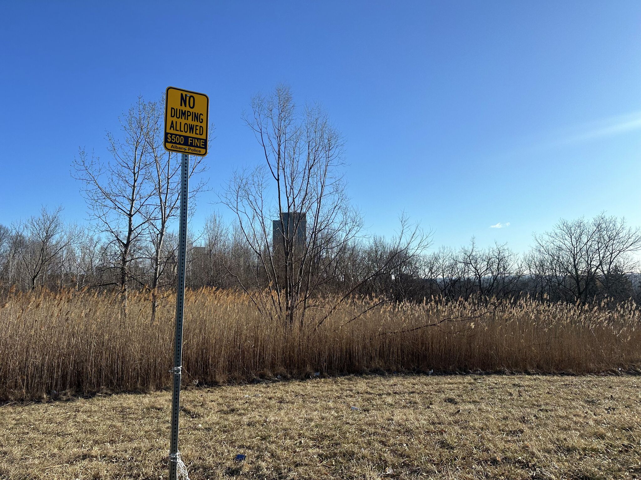 Albany police investigating after body found in wooded area