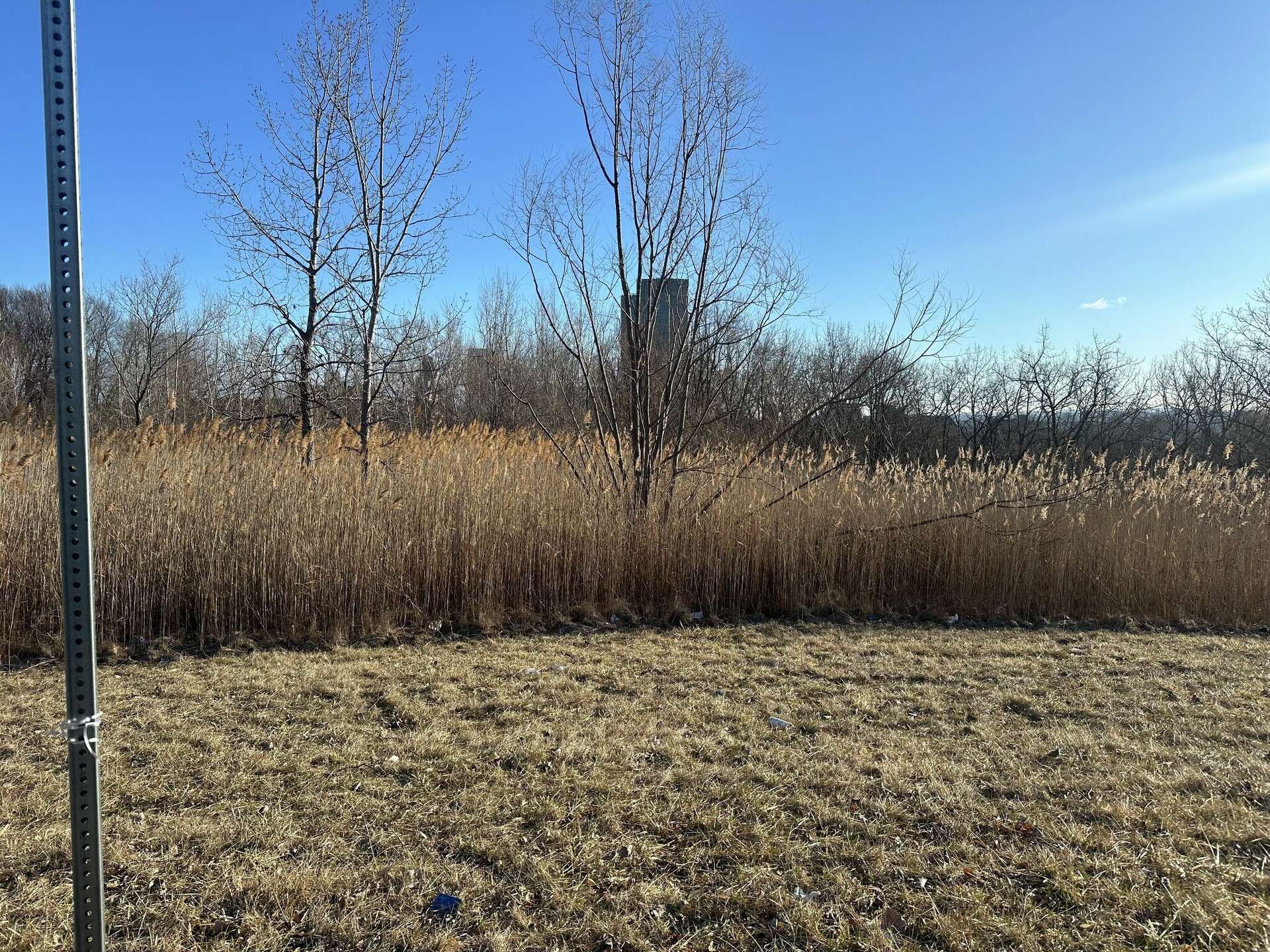 Albany police investigating after body found in wooded area