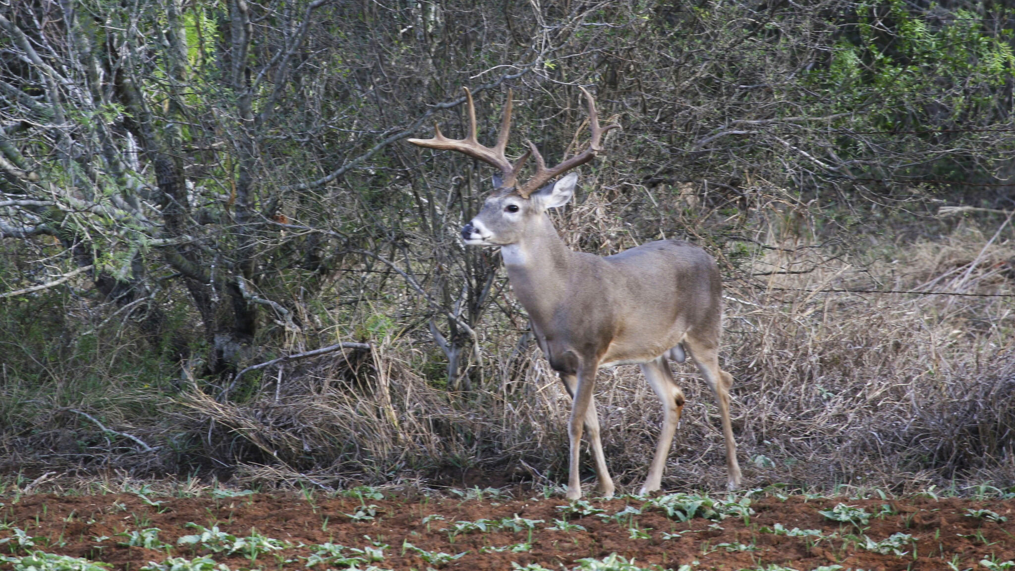 https://s.hdnux.com/photos/01/47/65/47/27220420/3/rawImage.jpg
