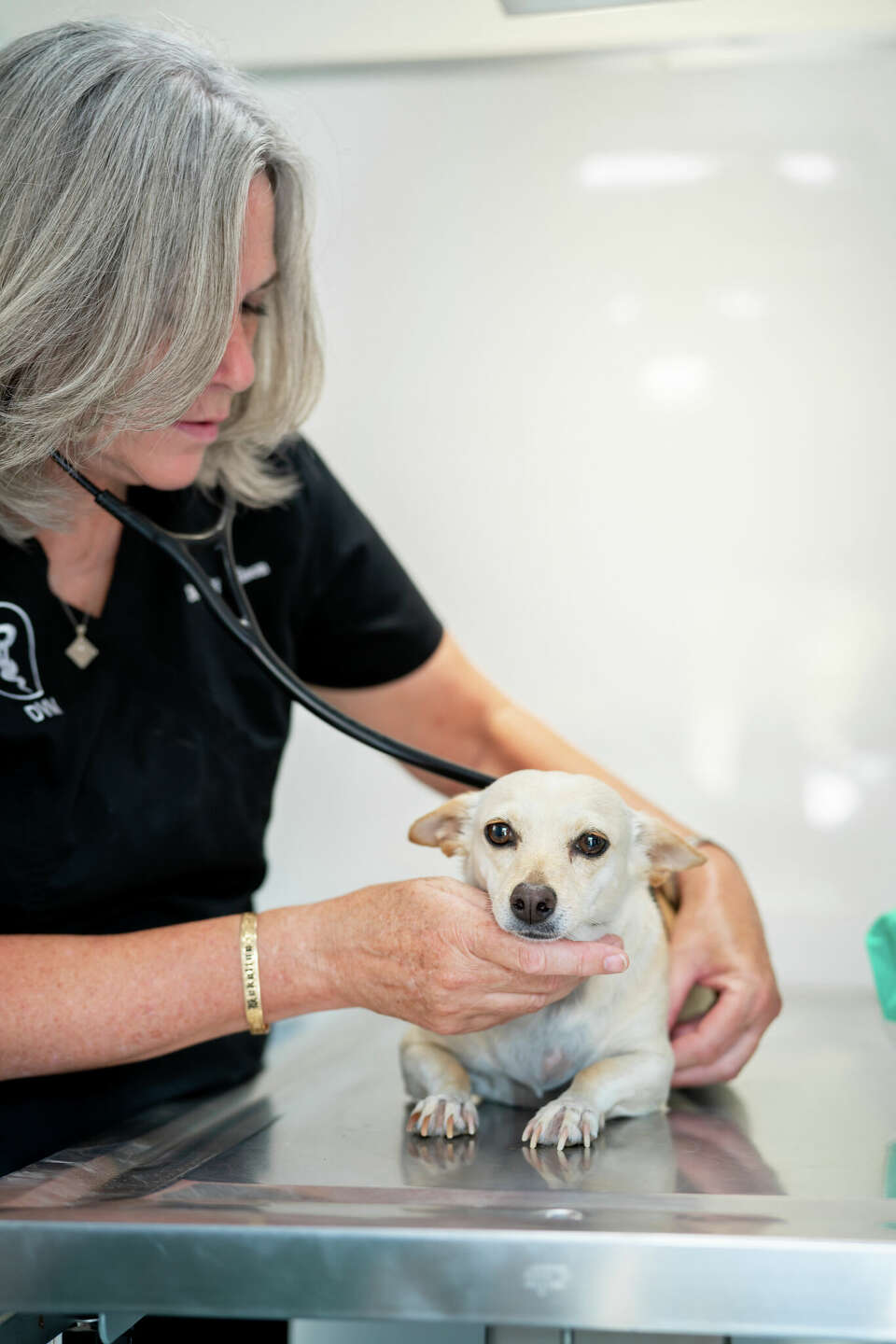 Nonprofits help older adults care for their pets