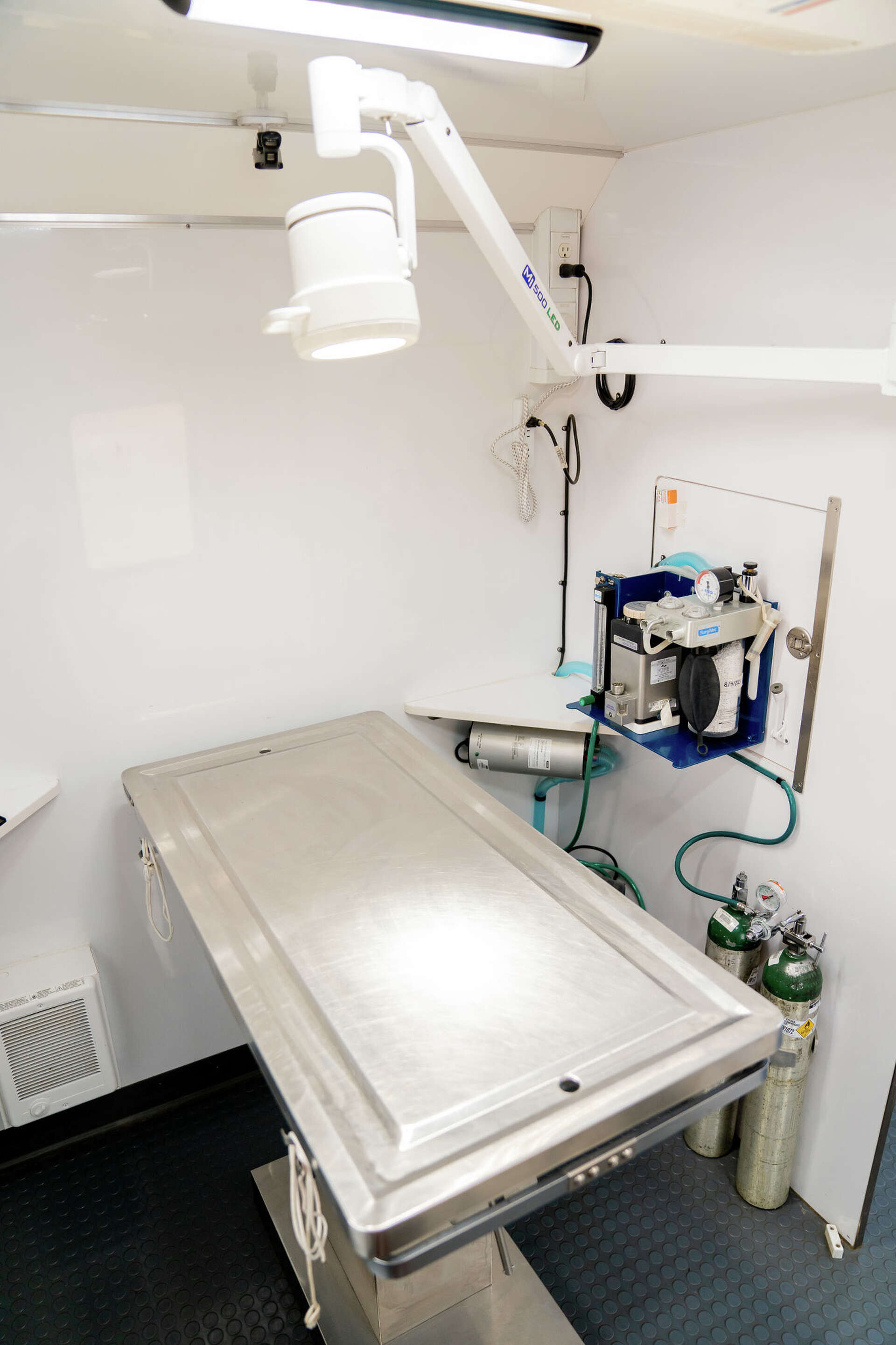 Nonprofits help older adults care for their pets