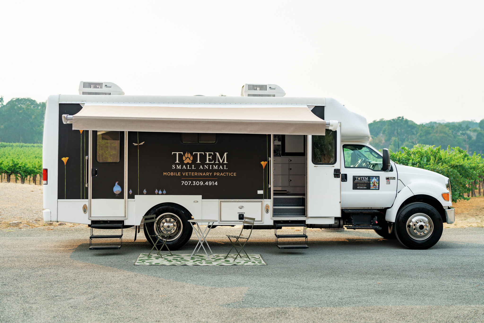 Nonprofits help older adults care for their pets