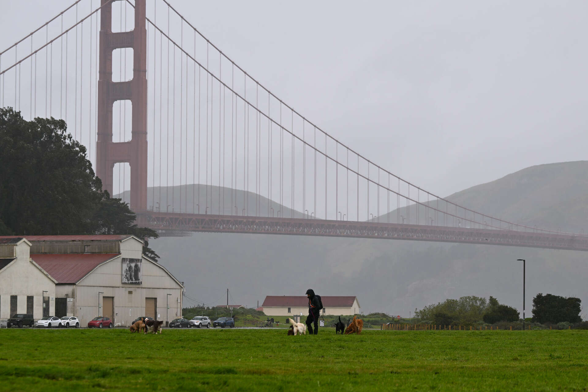 San Francisco sex worker found guilty of killing man who wanted refund