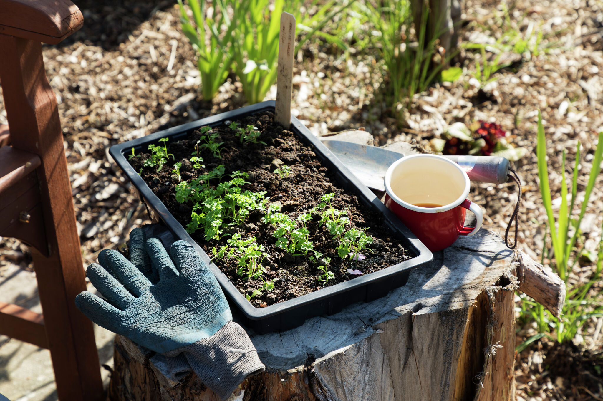 April Tips April means it's time to prep your garden for summer