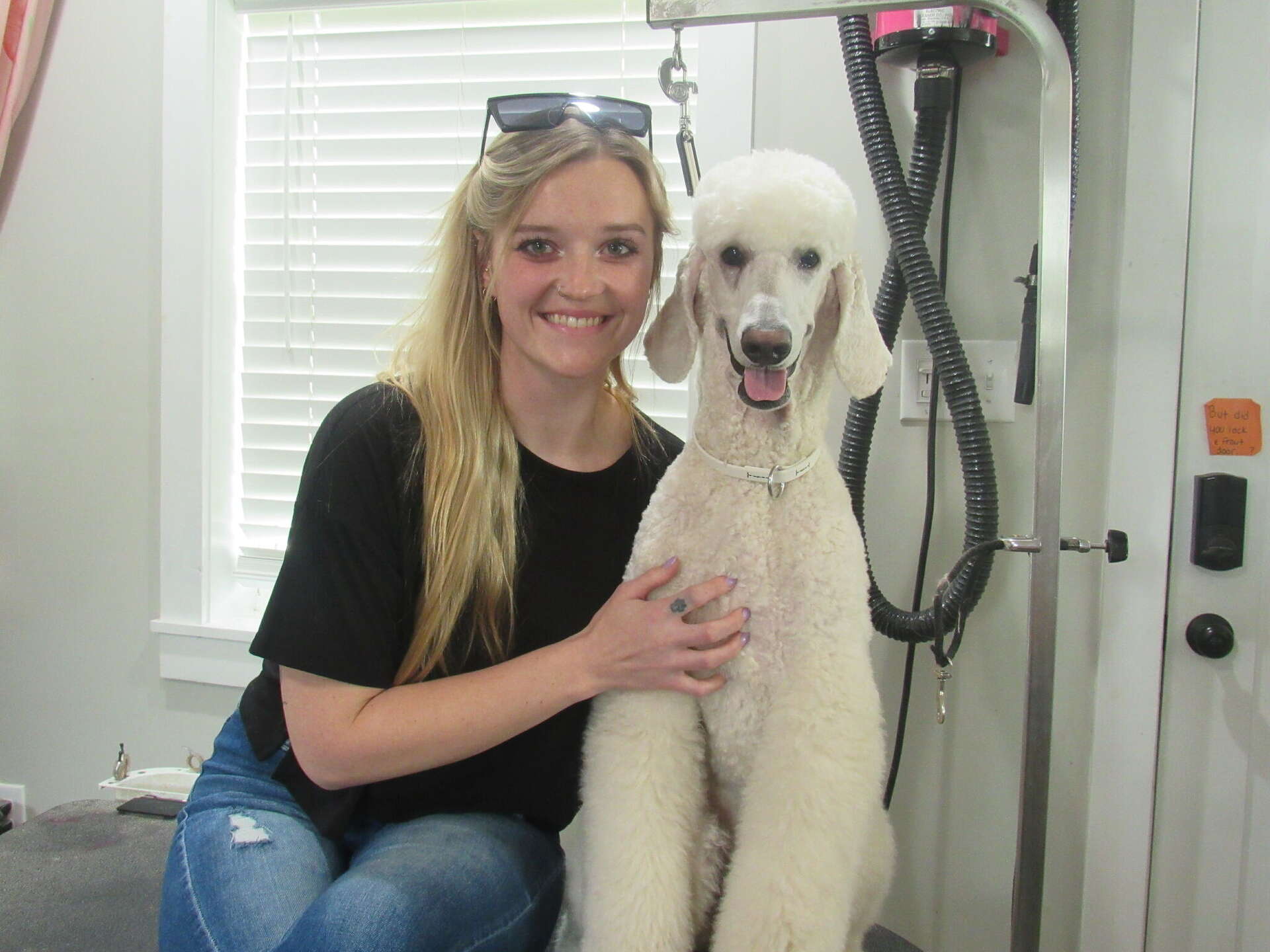 Amber Dyer expands Peachy Paws dog grooming in Godfrey, image size:1920x1440