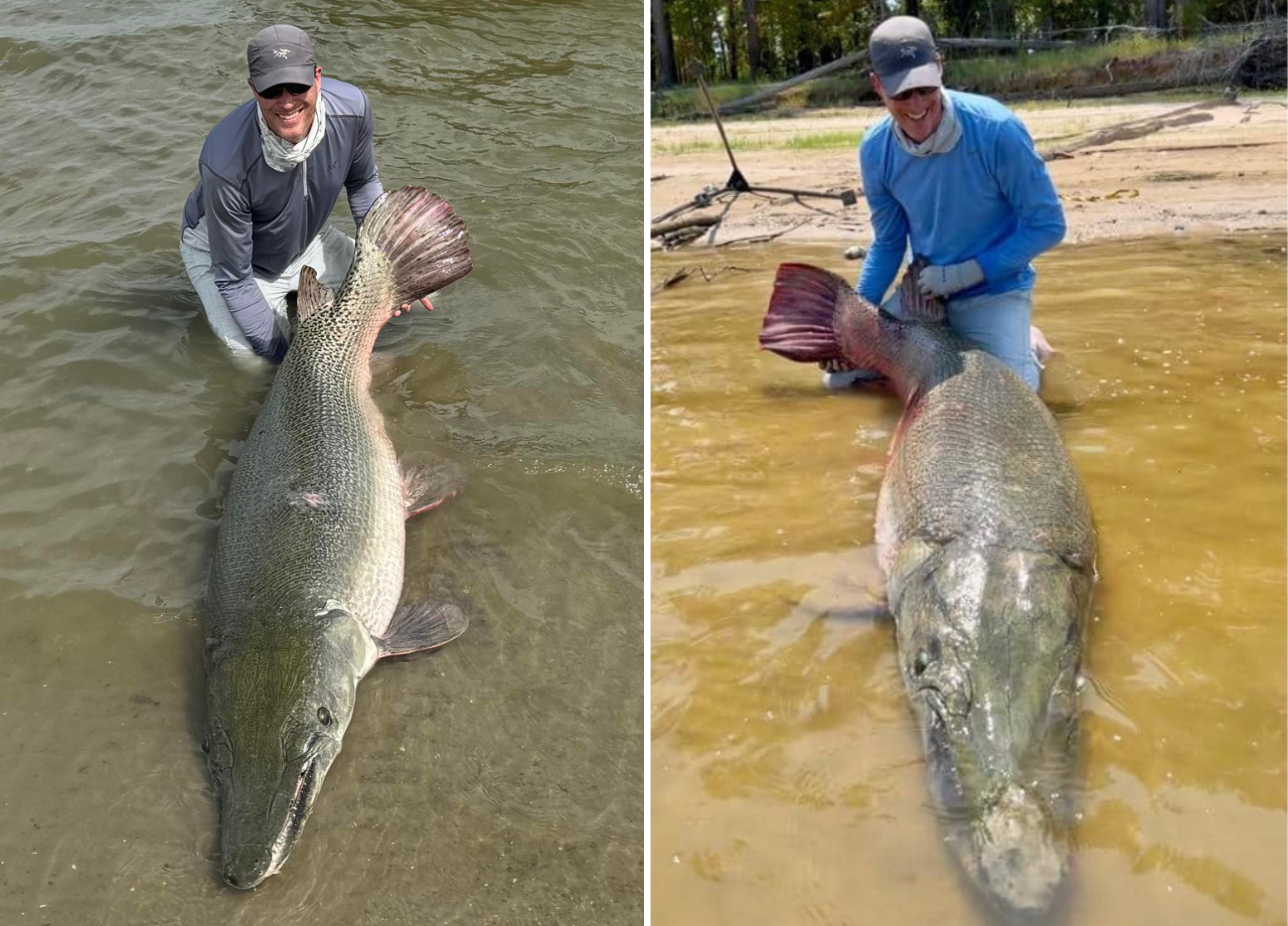 Art Weston catches record-breaking alligator gar in Texas