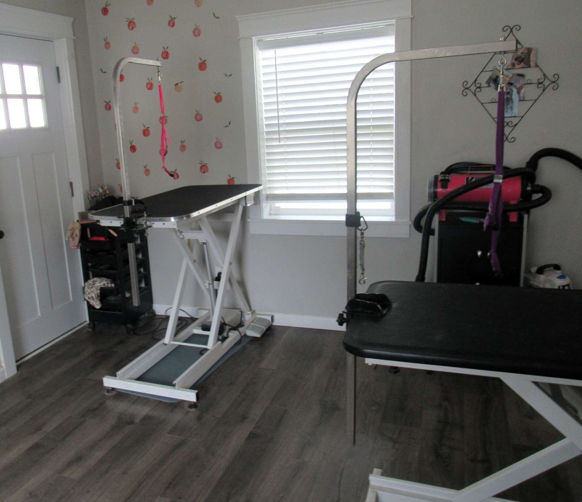 Amber Dyer expands Peachy Paws dog grooming in Godfrey, image size:1920x1659