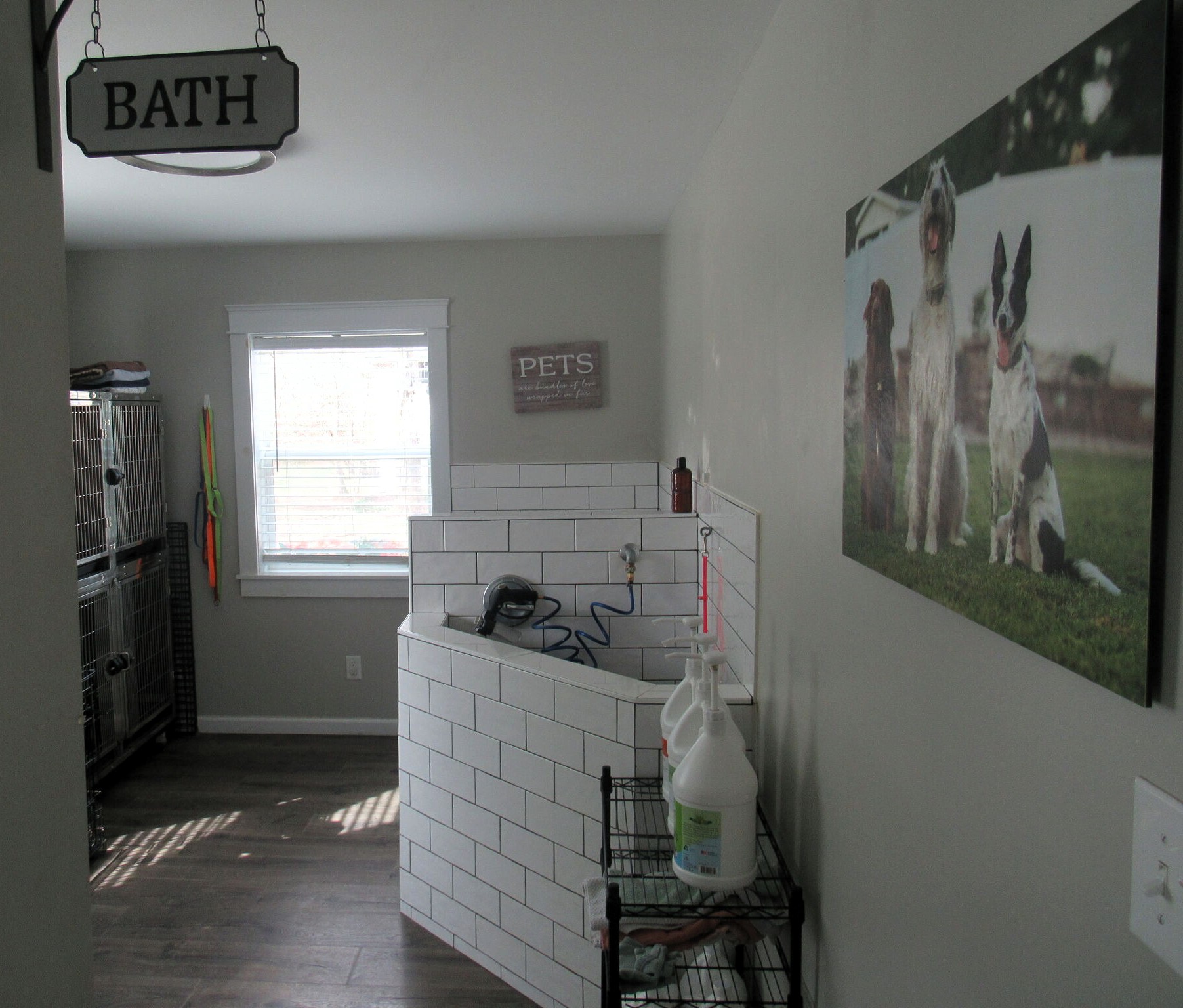 Amber Dyer expands Peachy Paws dog grooming in Godfrey, image size:1803x1536