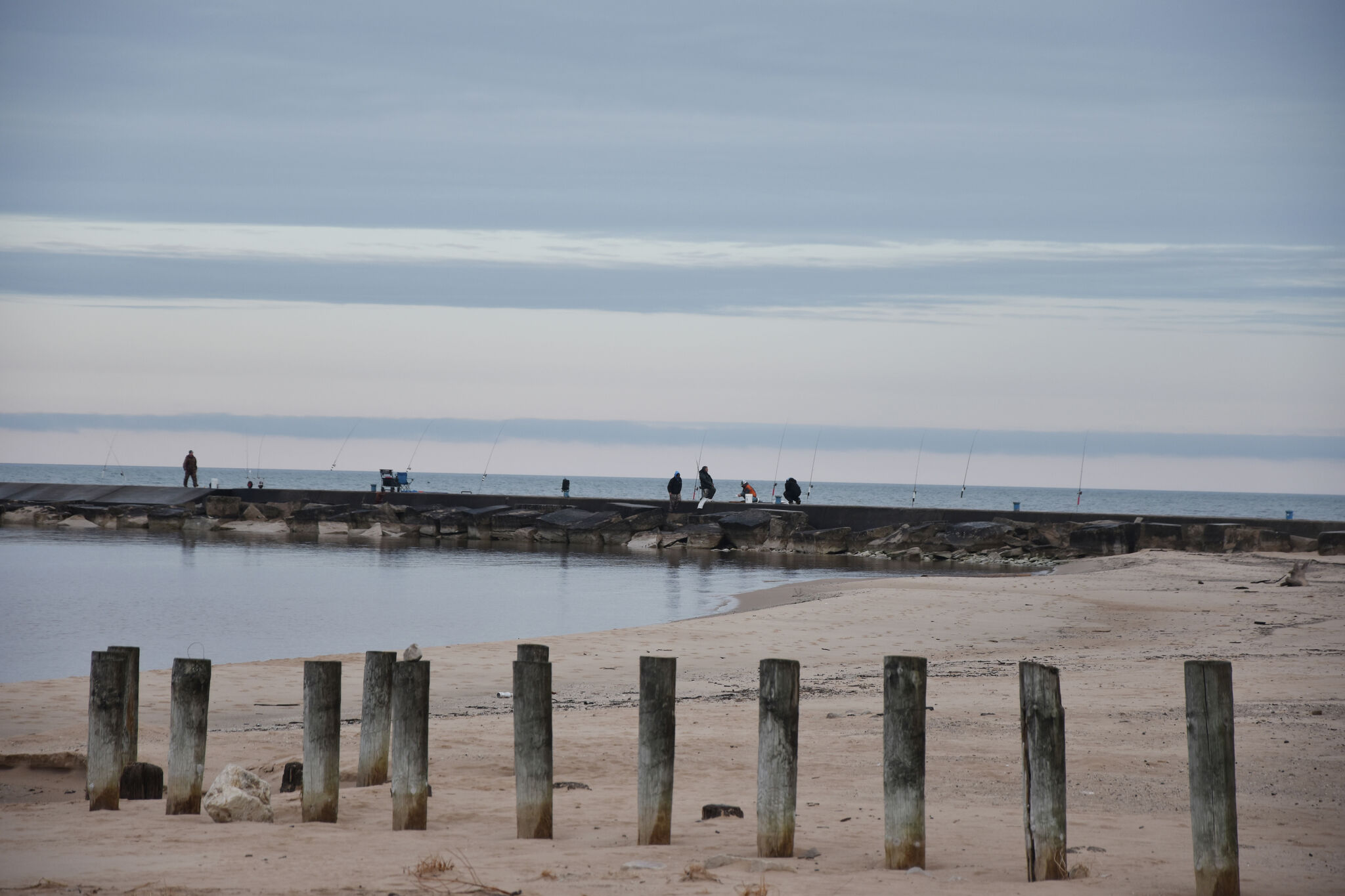 Tippy Dam anglers find 'wonderful success' catching steelhead