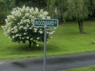 CT cops refute New England serial killer rumors as more remains found