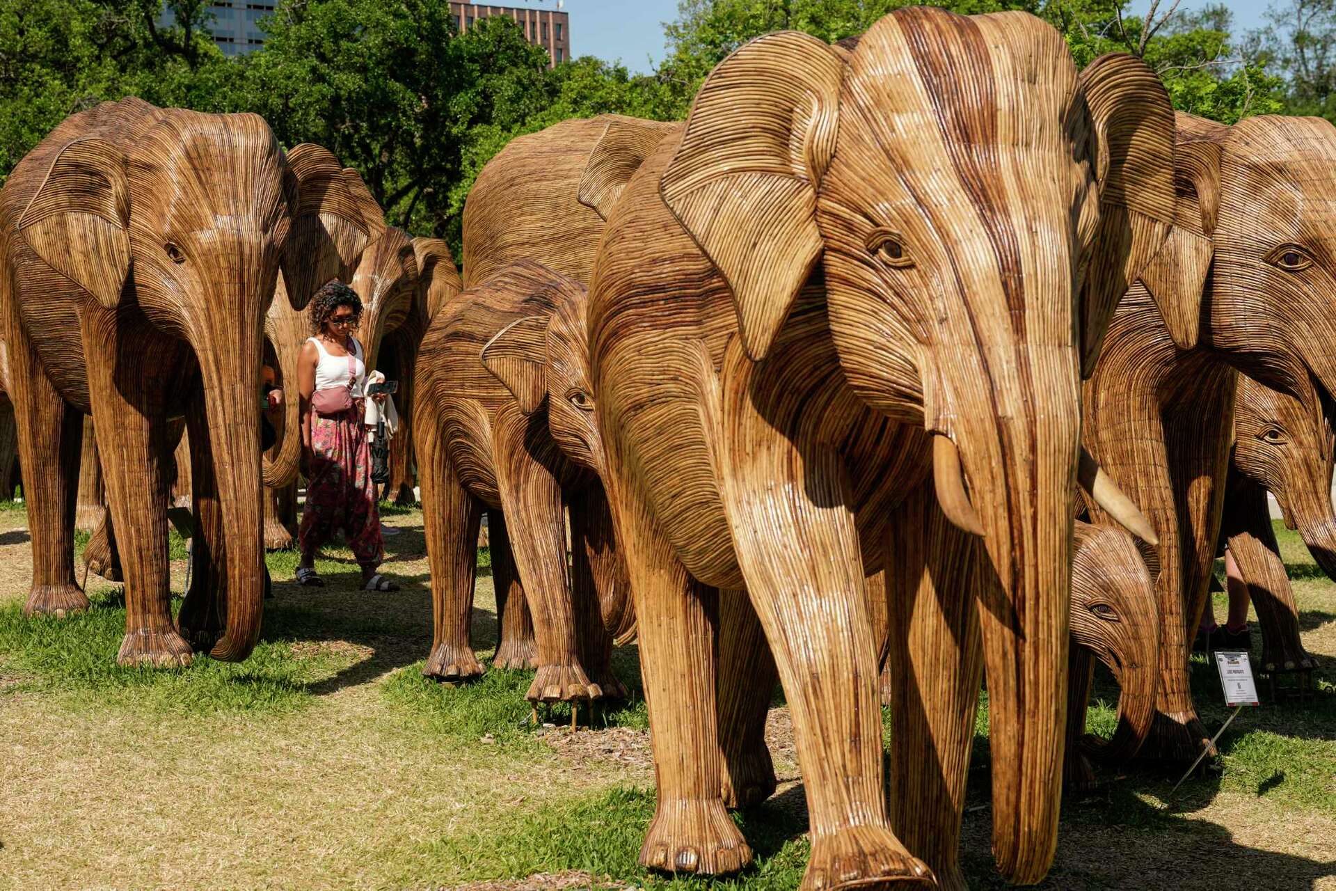 garbagetoyyyy 墓場の画廊 Elephant (Orange) Elephants Arrive, So
