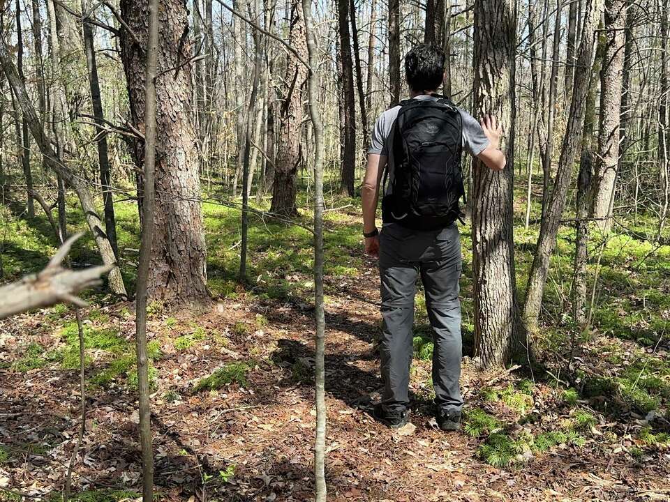The best hiking backpacks for outdoor adventures