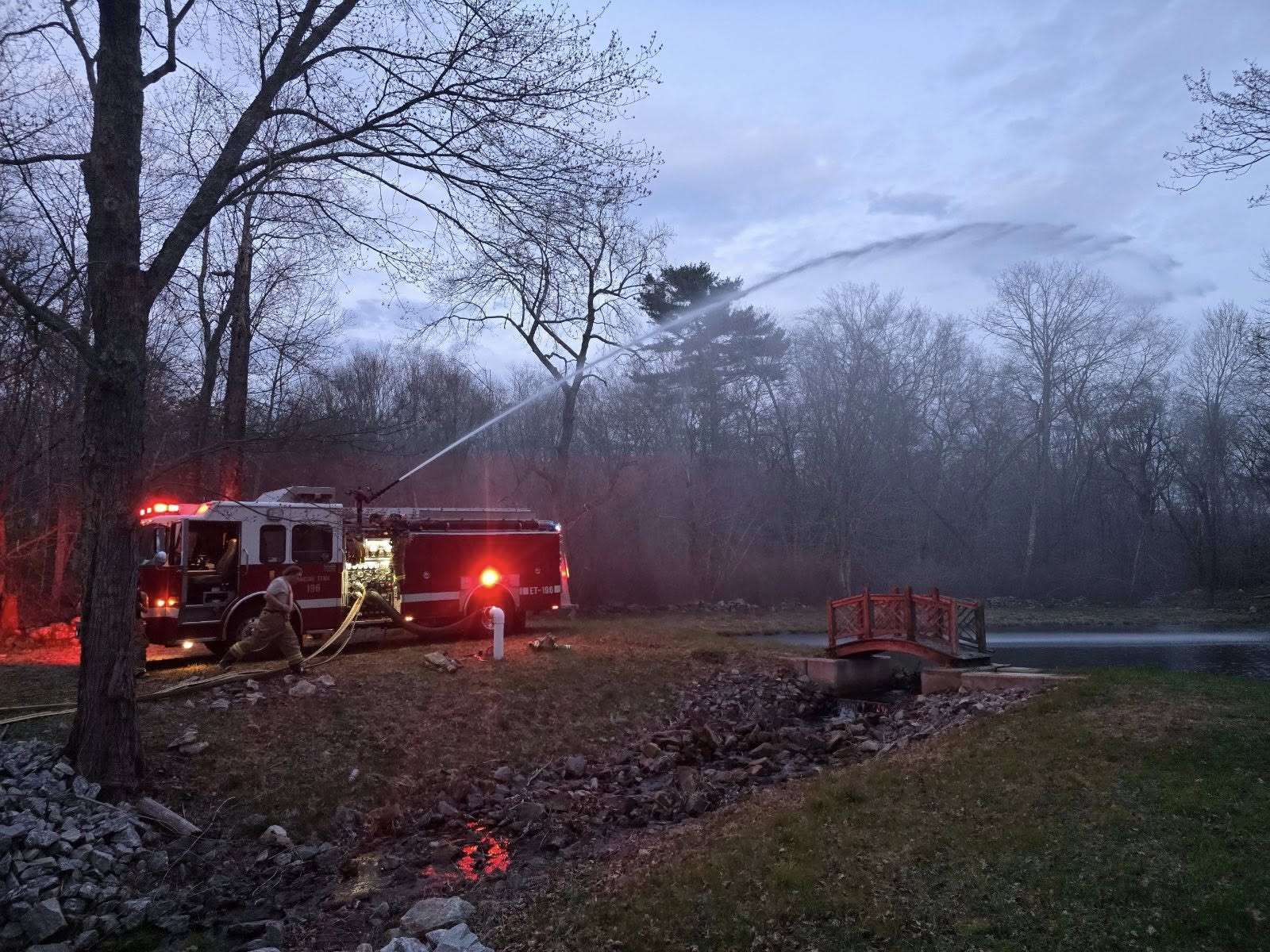 Dogs rescued from multi-building fire in Sterling, officials say