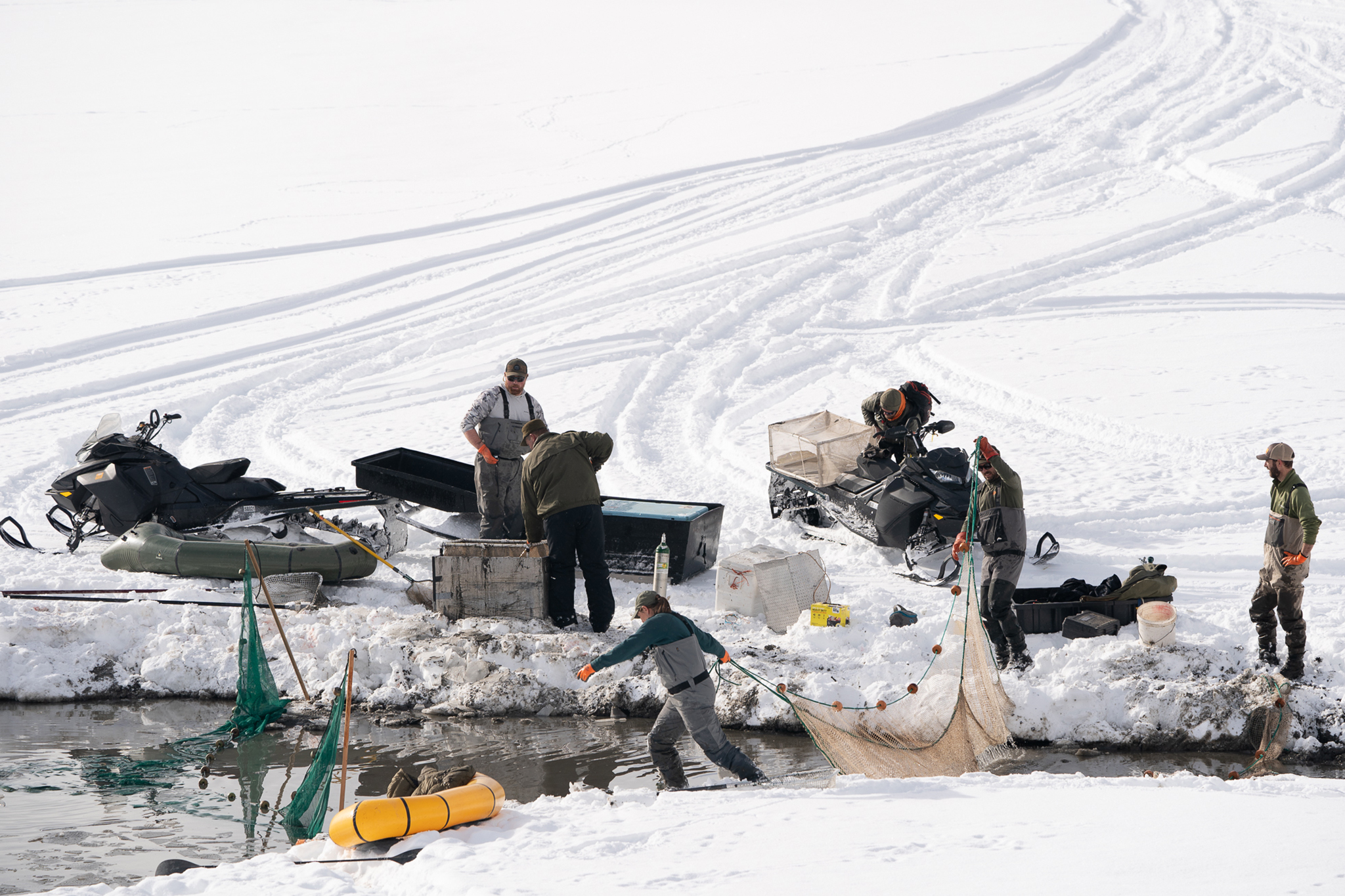 Why a national park freed 900 trapped fish