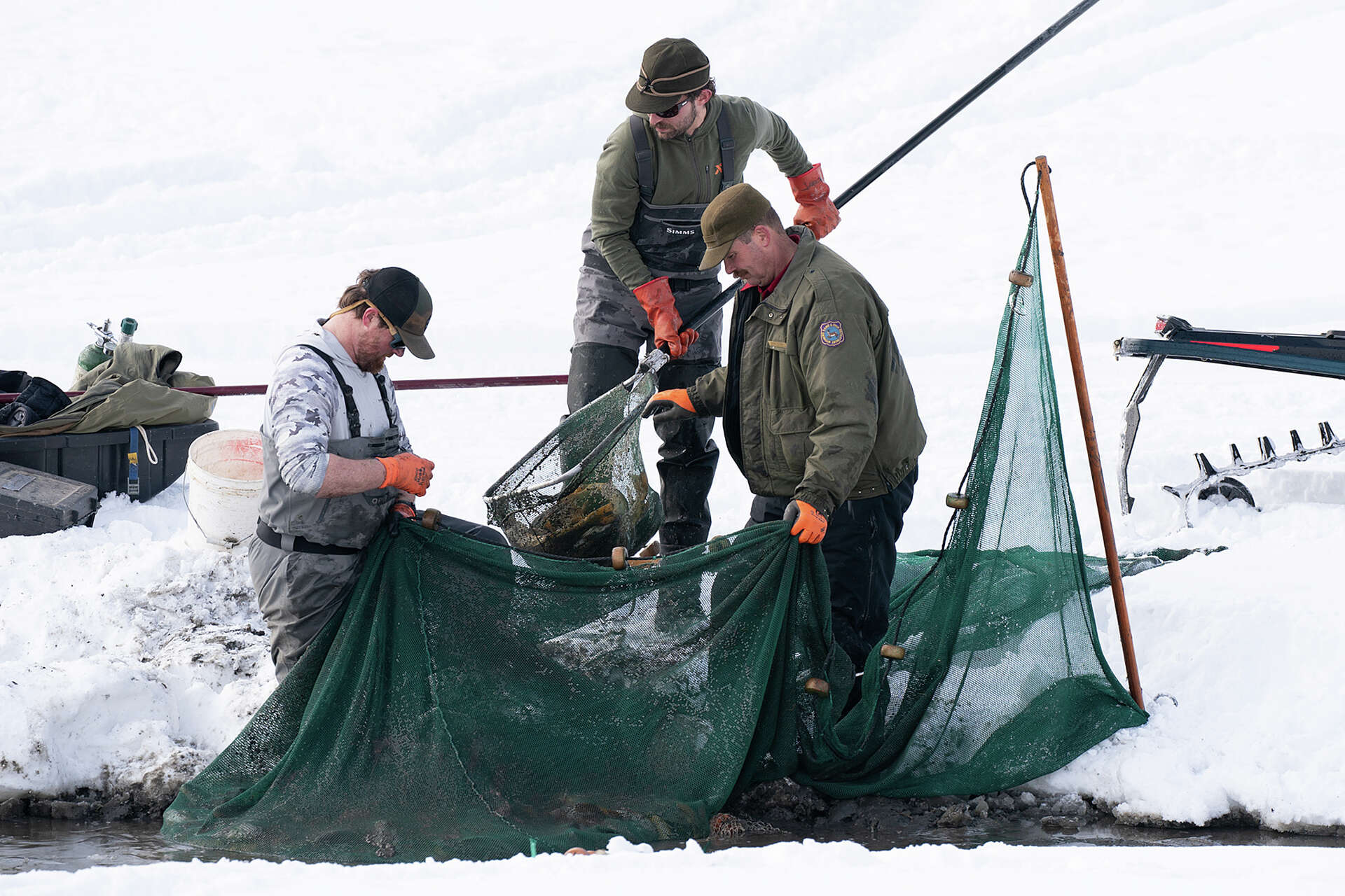 Why a national park freed 900 trapped fish