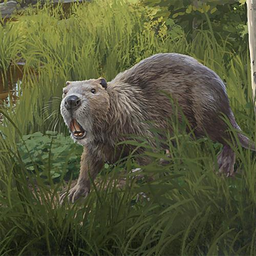 นิวยอร์กอดีตชาติบ้านของบีเวอร์ยักษ์ แมสโตดอน สัตว์ดึกดำบรรพ์