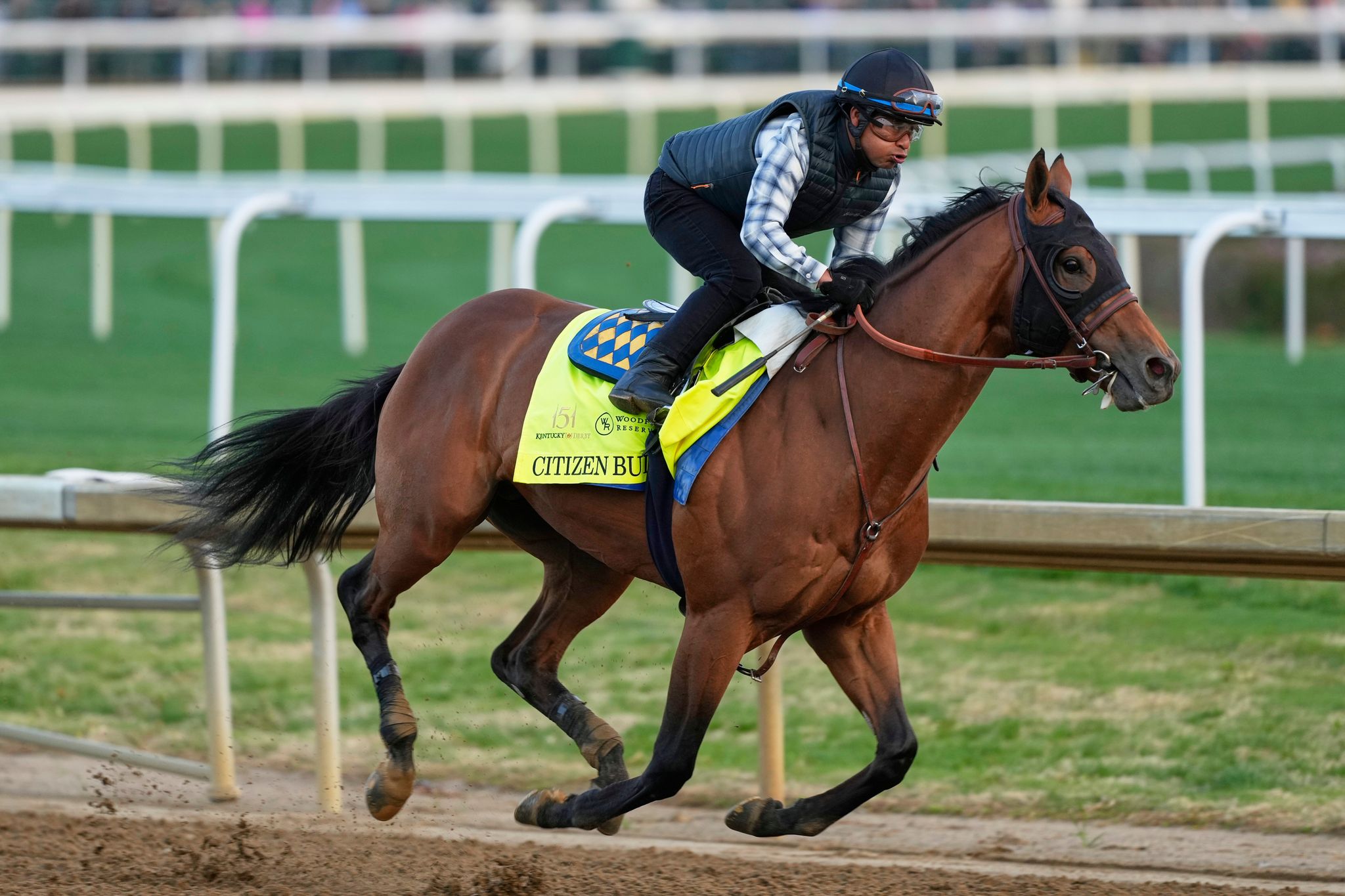 Guía Completa para Ver el Derby de Kentucky: Favoritos, Tradiciones y lo que Esperar en la 151ª Edición