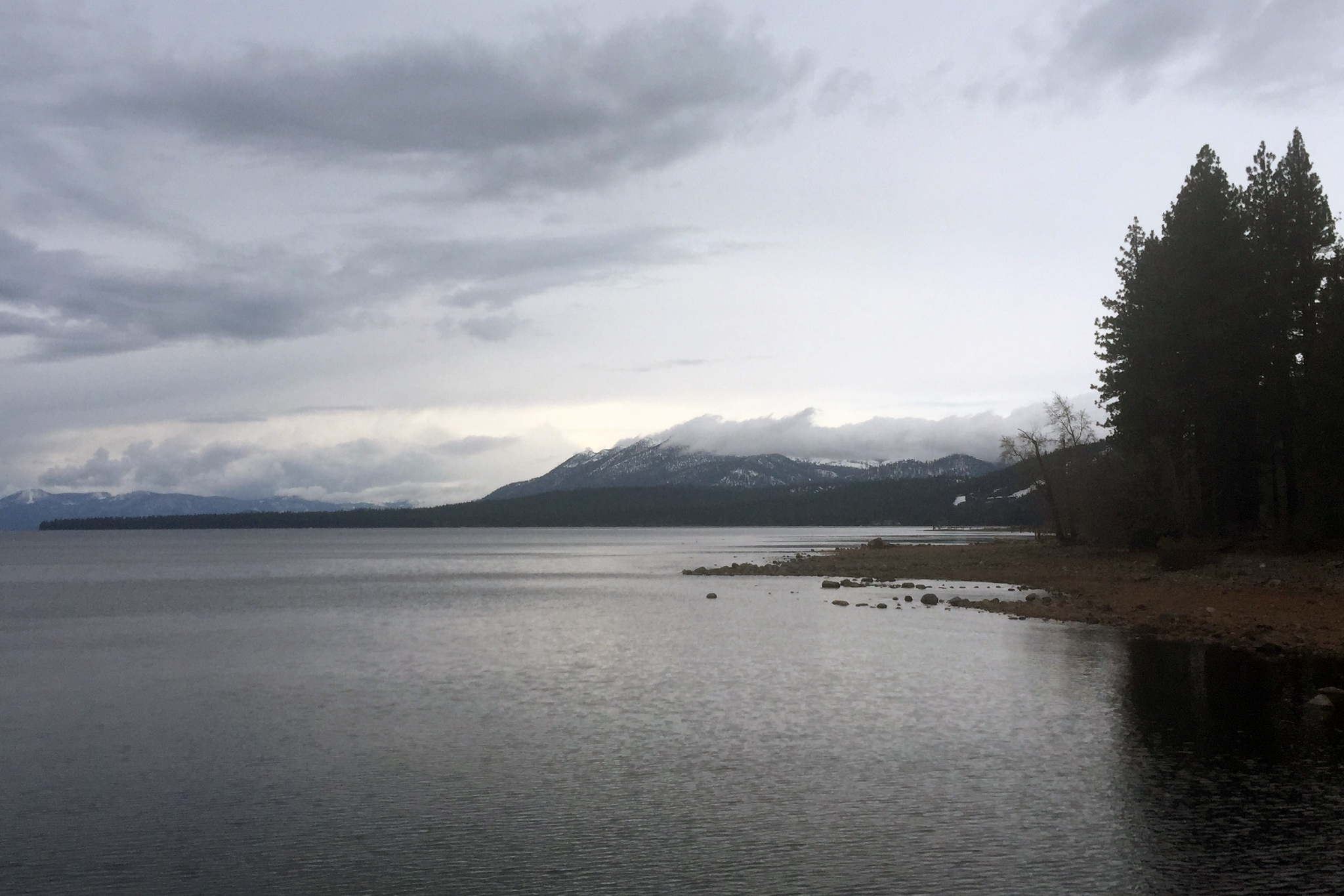Twisted family drama unfolds as shocking Tahoe murder case goes to trial