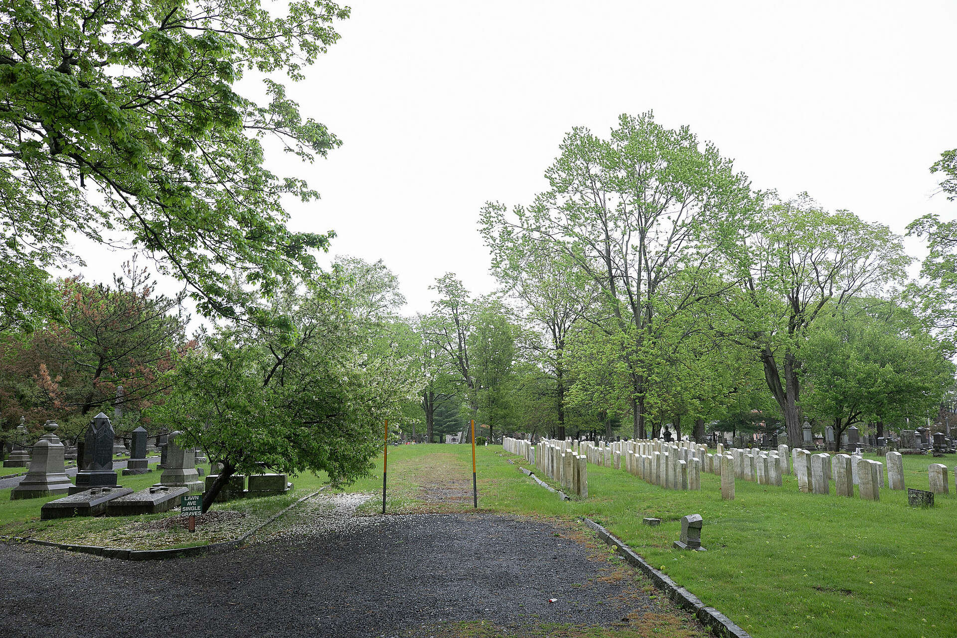 New Haven police identify city woman found dead at Evergreen Cemetery