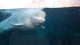 A beluga whale at Mystic Aquarium in Mystic, Conn.