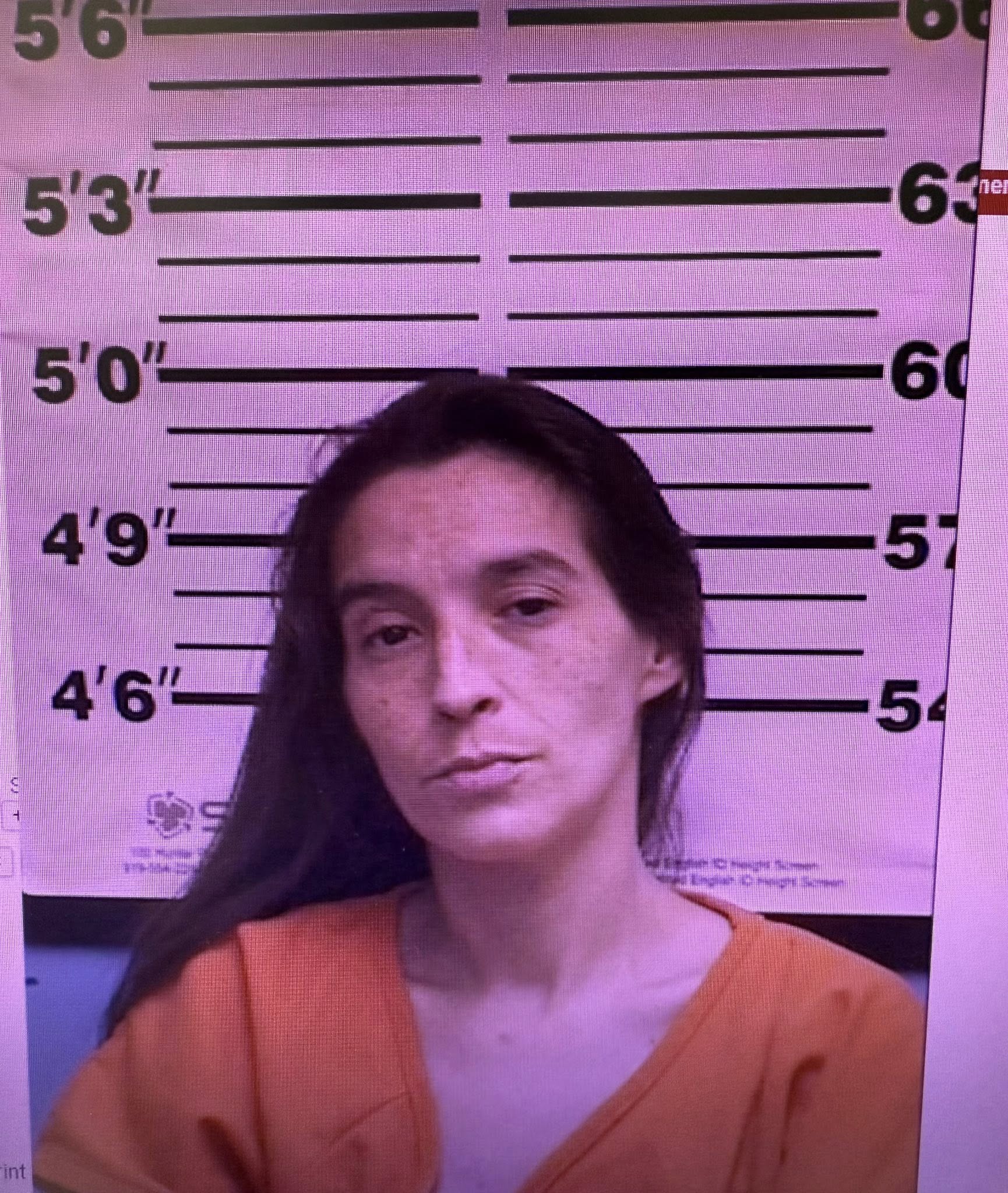 Passenger charged with drug possession after Zapata Co. traffic stop